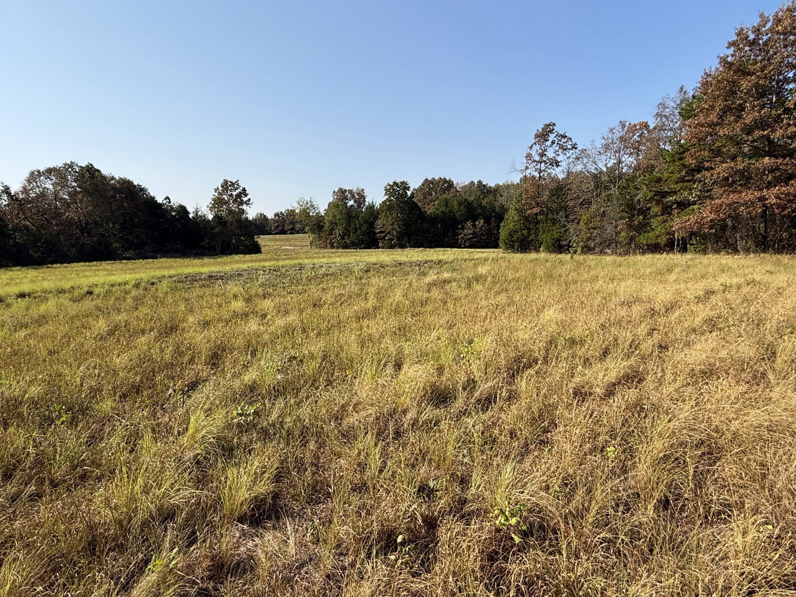 HUNTING AND RECREATIONAL LAND FOR SALE IN NORTH CENTRAL ARKANSAS
