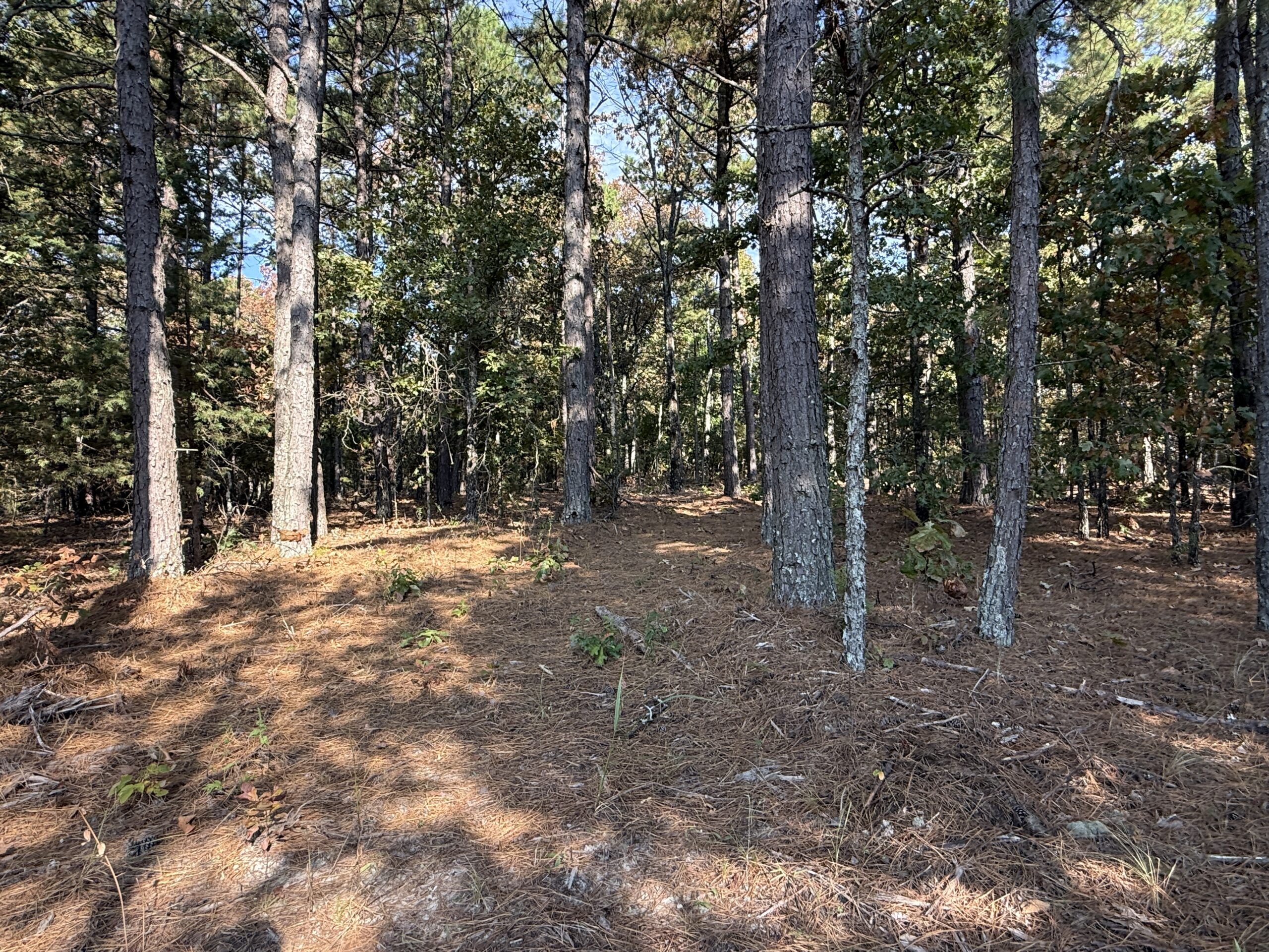 HUNTING AND RECREATIONAL LAND FOR SALE IN NORTH CENTRAL ARKANSAS