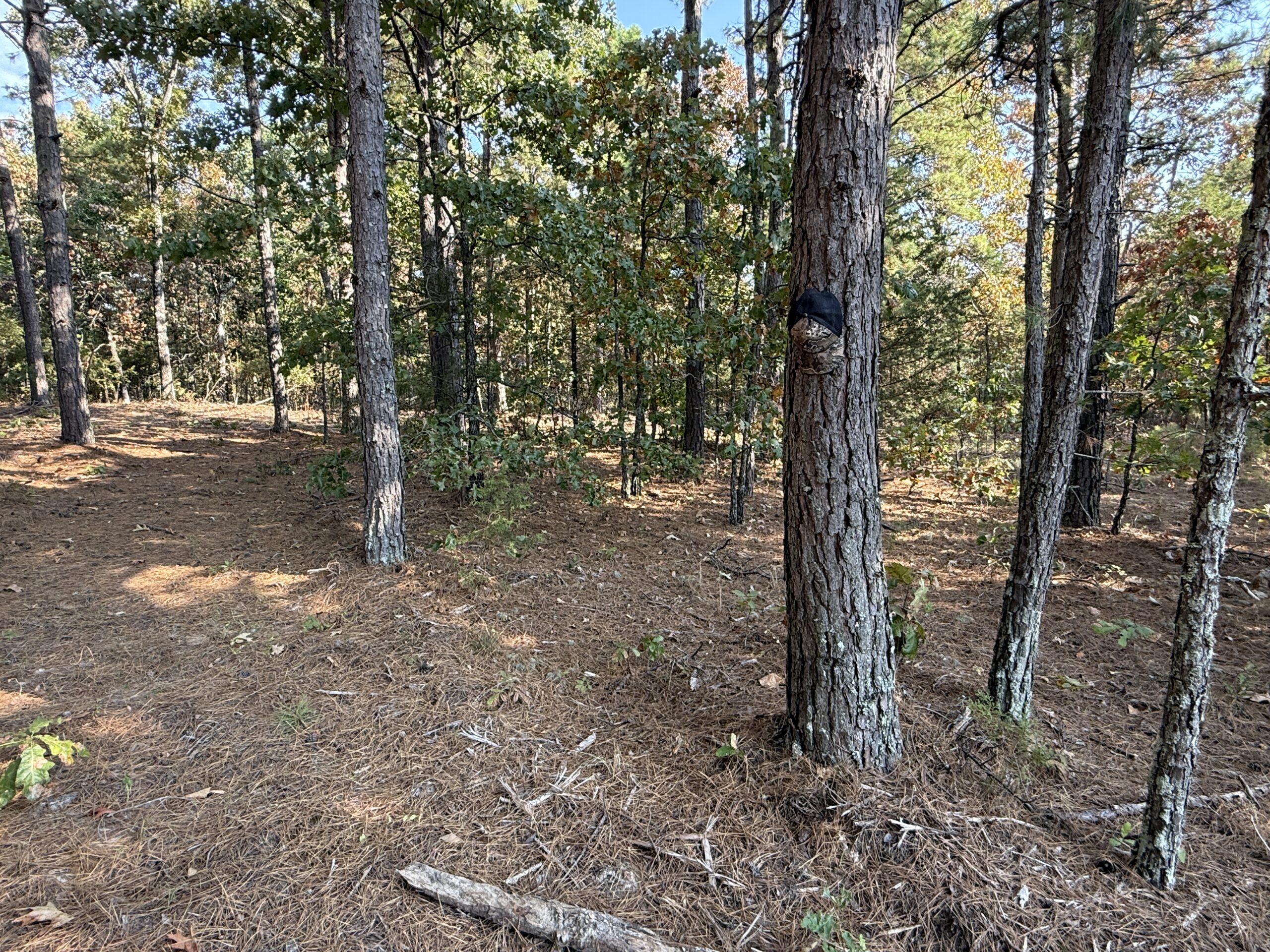 HUNTING AND RECREATIONAL LAND FOR SALE IN NORTH CENTRAL ARKANSAS