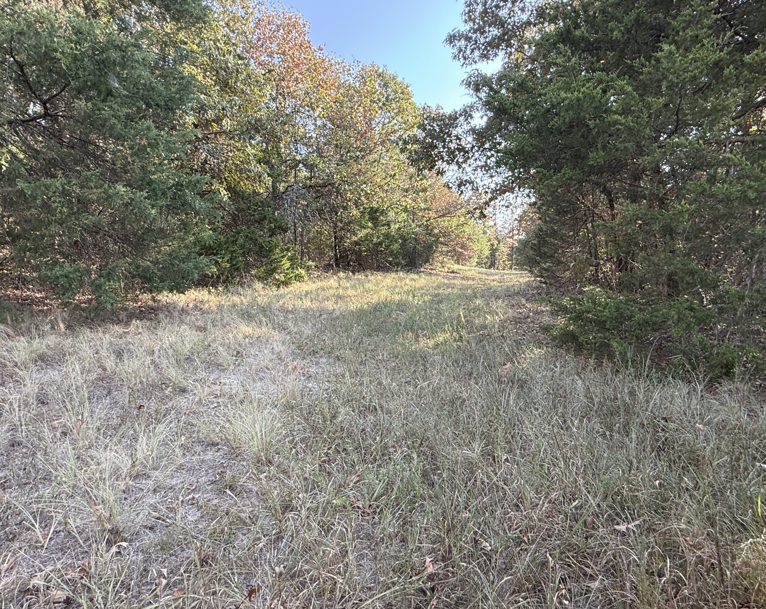 HUNTING AND RECREATIONAL LAND FOR SALE IN NORTH CENTRAL ARKANSAS