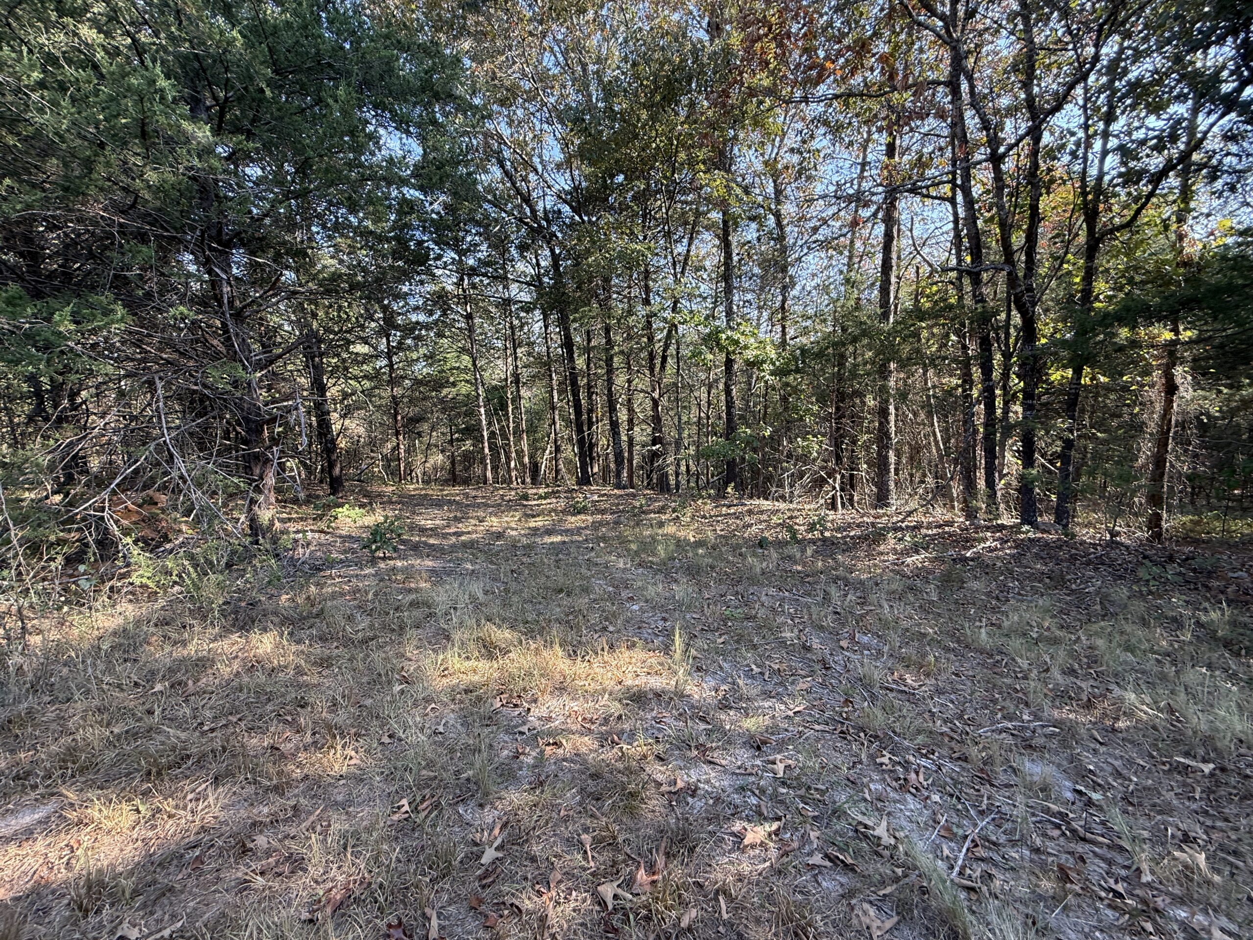 HUNTING AND RECREATIONAL LAND FOR SALE IN NORTH CENTRAL ARKANSAS