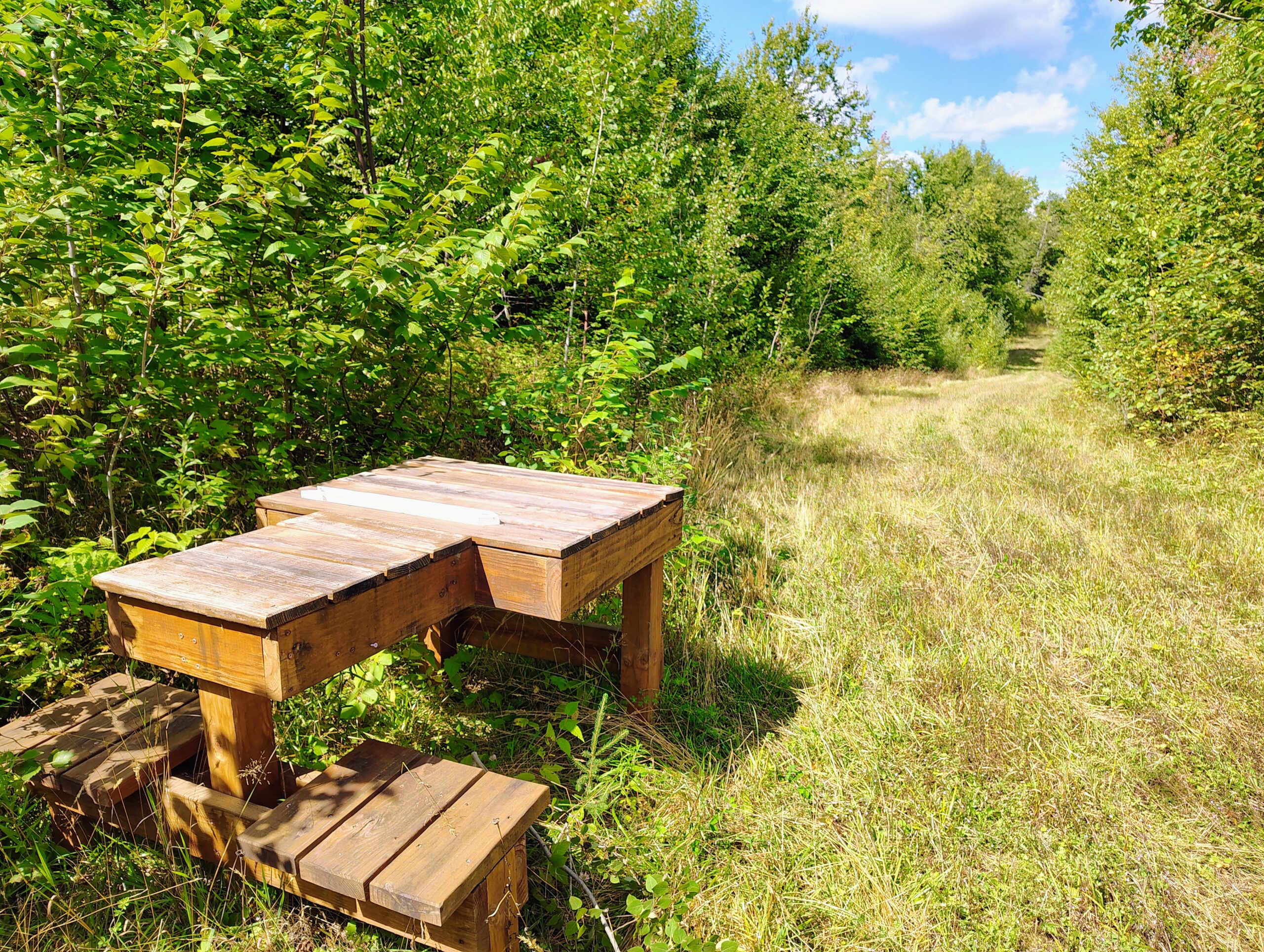 Land For Sale in Mellen, Wisconsin