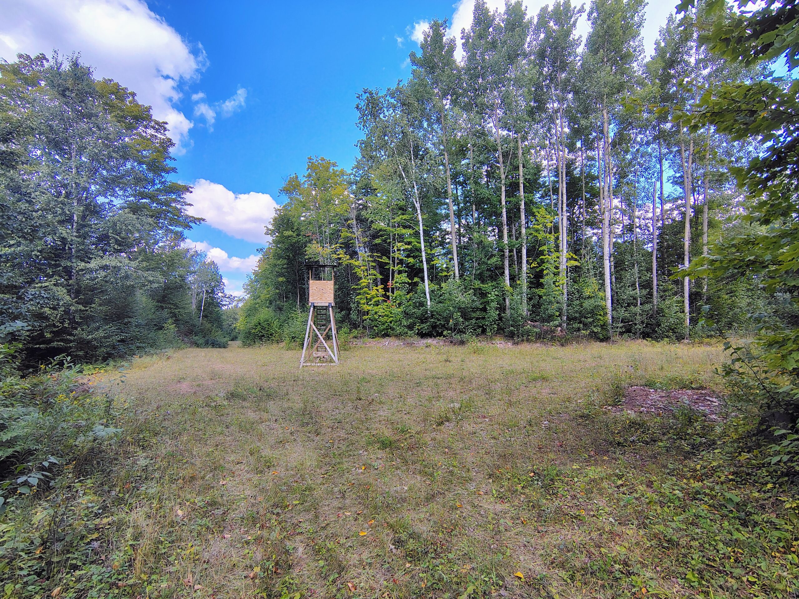 Land For Sale in Mellen, Wisconsin