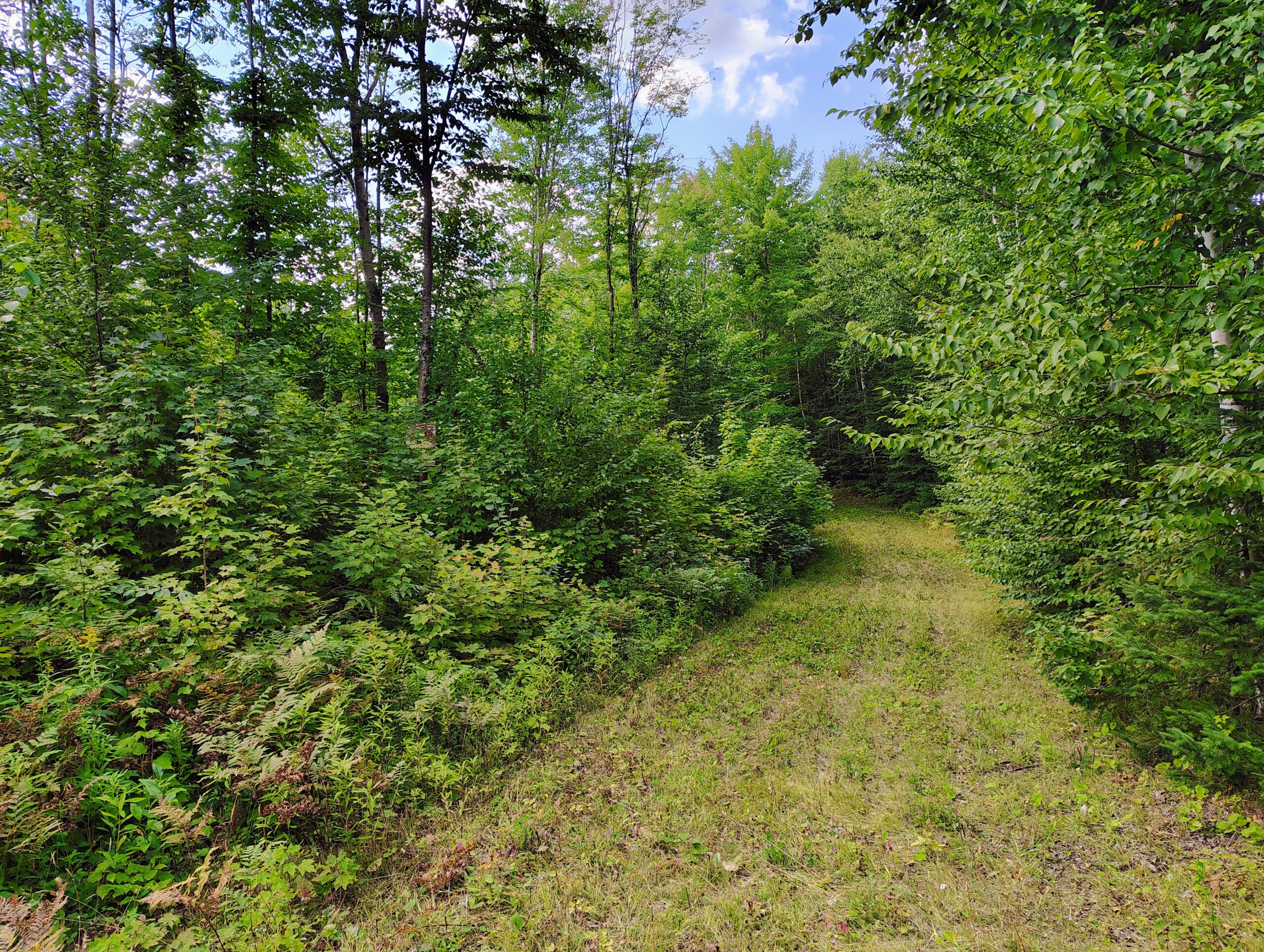 Land For Sale in Mellen, Wisconsin