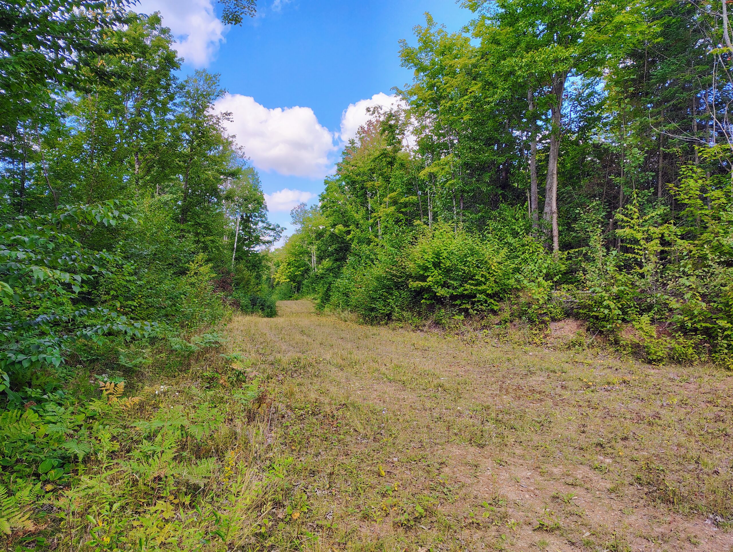 Land For Sale in Mellen, Wisconsin