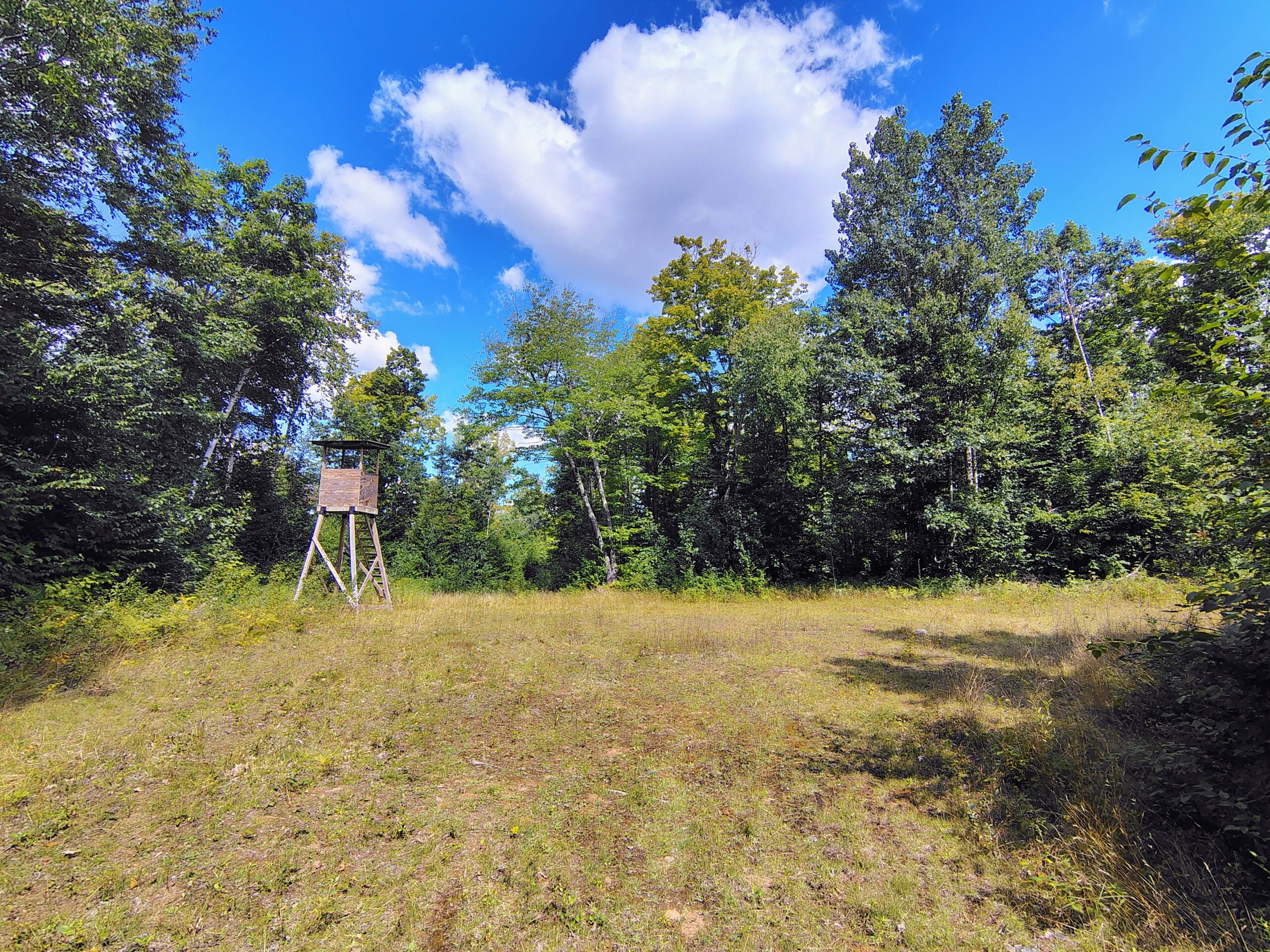 Land For Sale in Mellen, Wisconsin