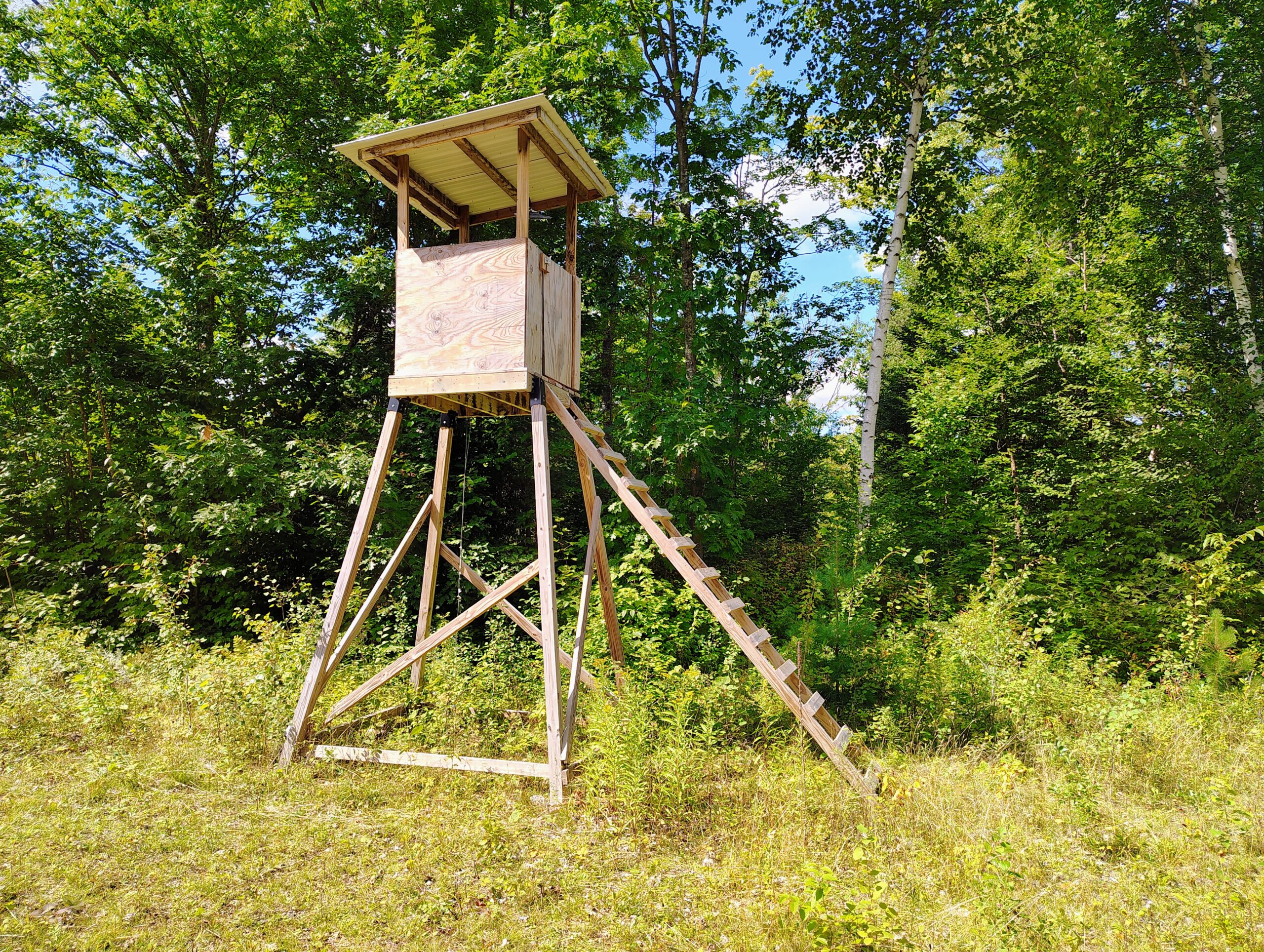 Land For Sale in Mellen, Wisconsin