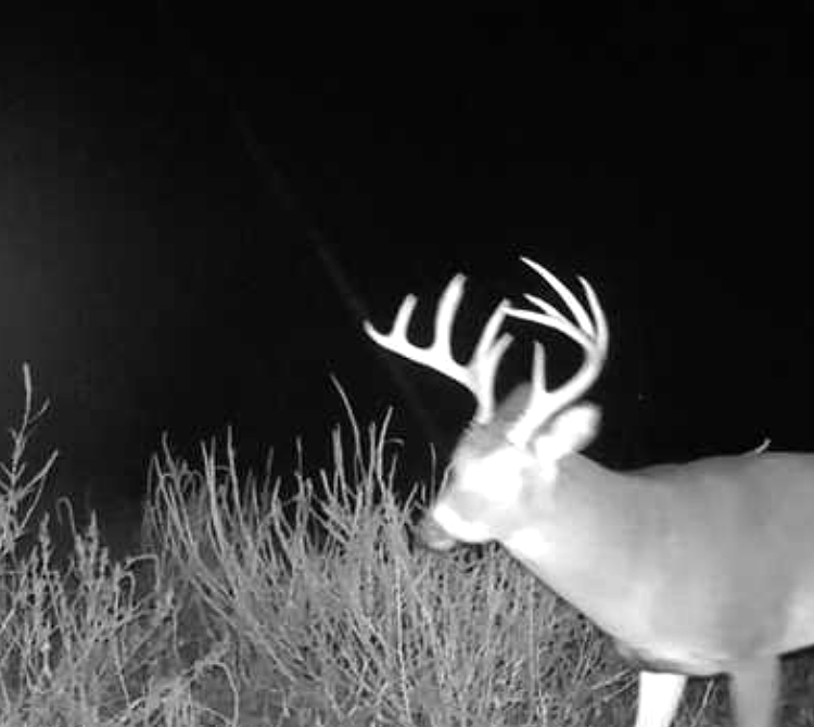 NEBRASKA MERIDIAN CANYON HUNTING & RANCH LAND
