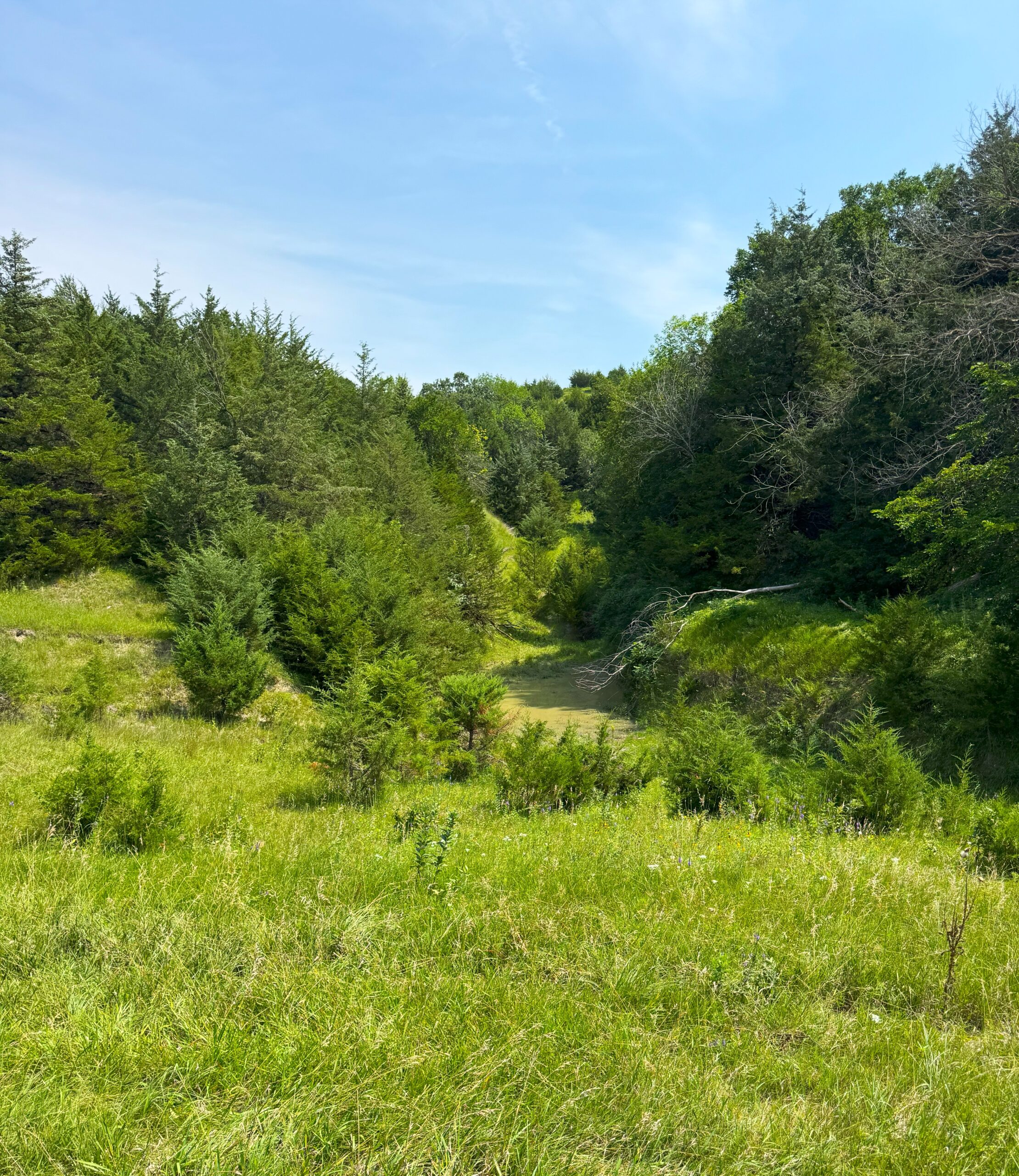 NEBRASKA MERIDIAN CANYON HUNTING & RANCH LAND