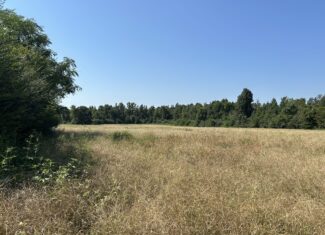 East Texas Hunting/Recreational/Timber Tract For Sale