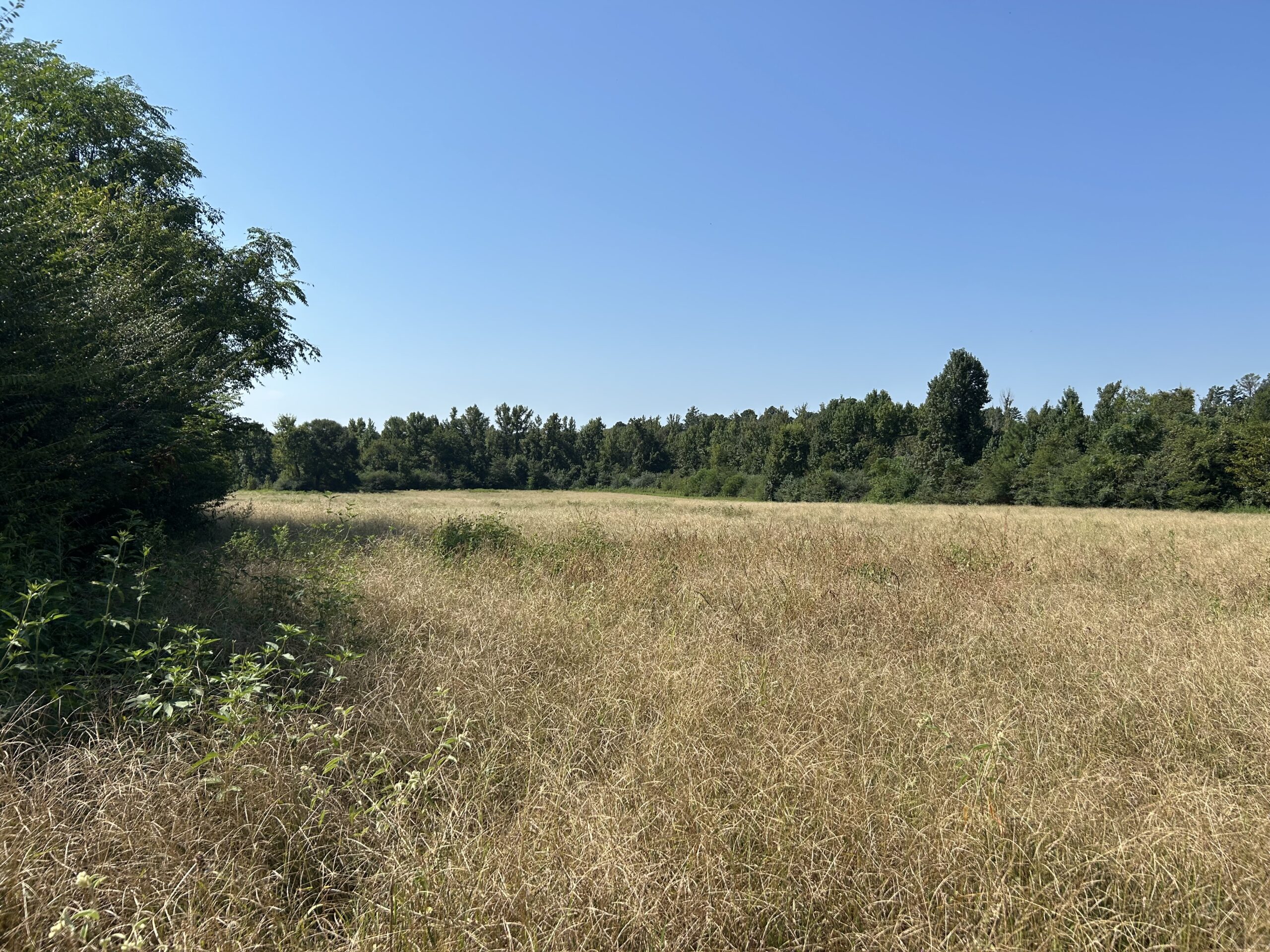 East Texas Hunting/Recreational/Timber Tract For Sale