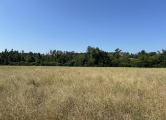 East Texas Hunting/Recreational/Timber Tract For Sale