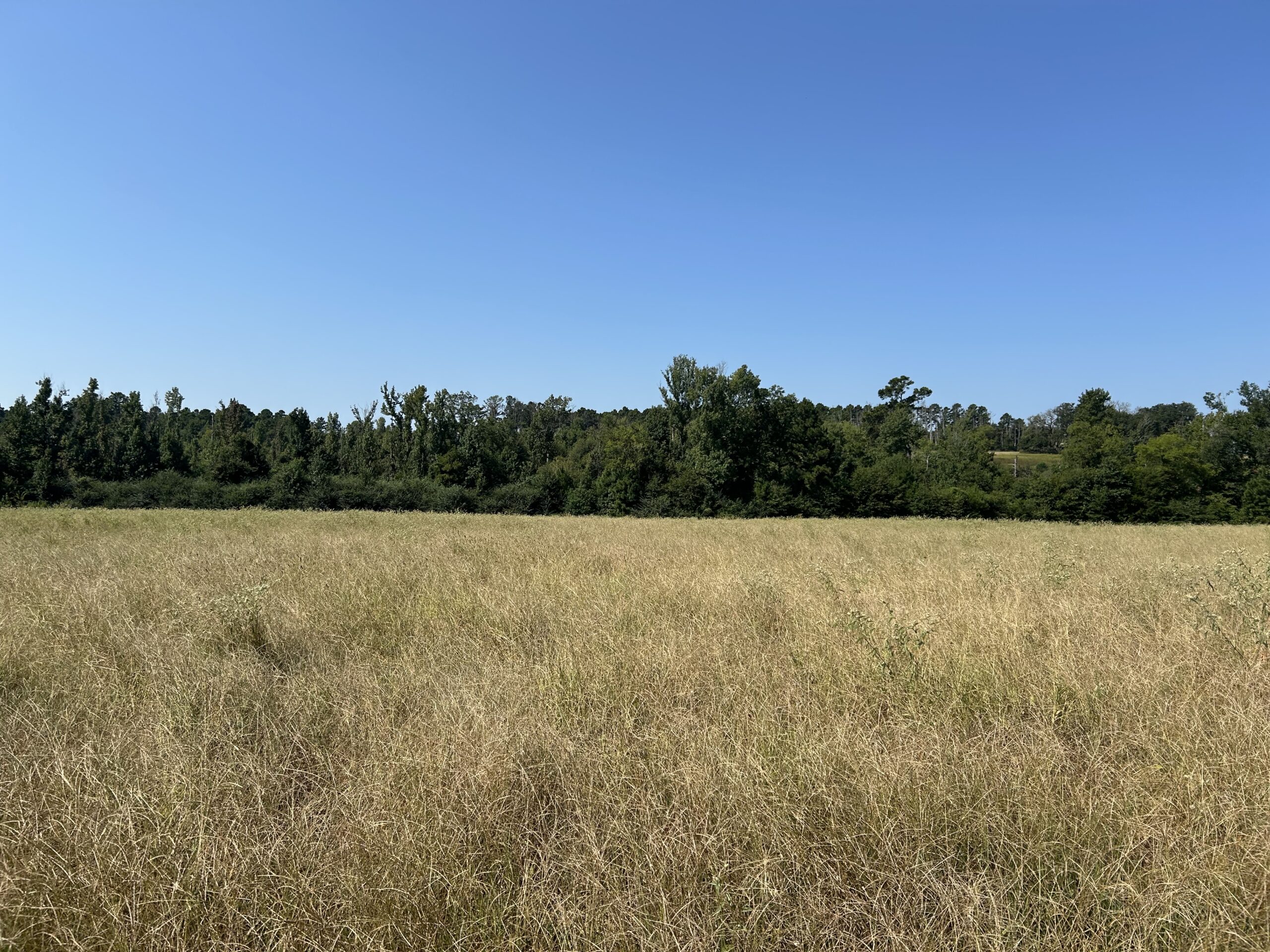 East Texas Hunting/Recreational/Timber Tract For Sale