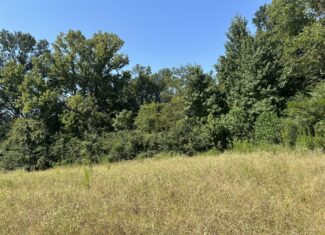 East Texas Hunting/Recreational/Timber Tract For Sale