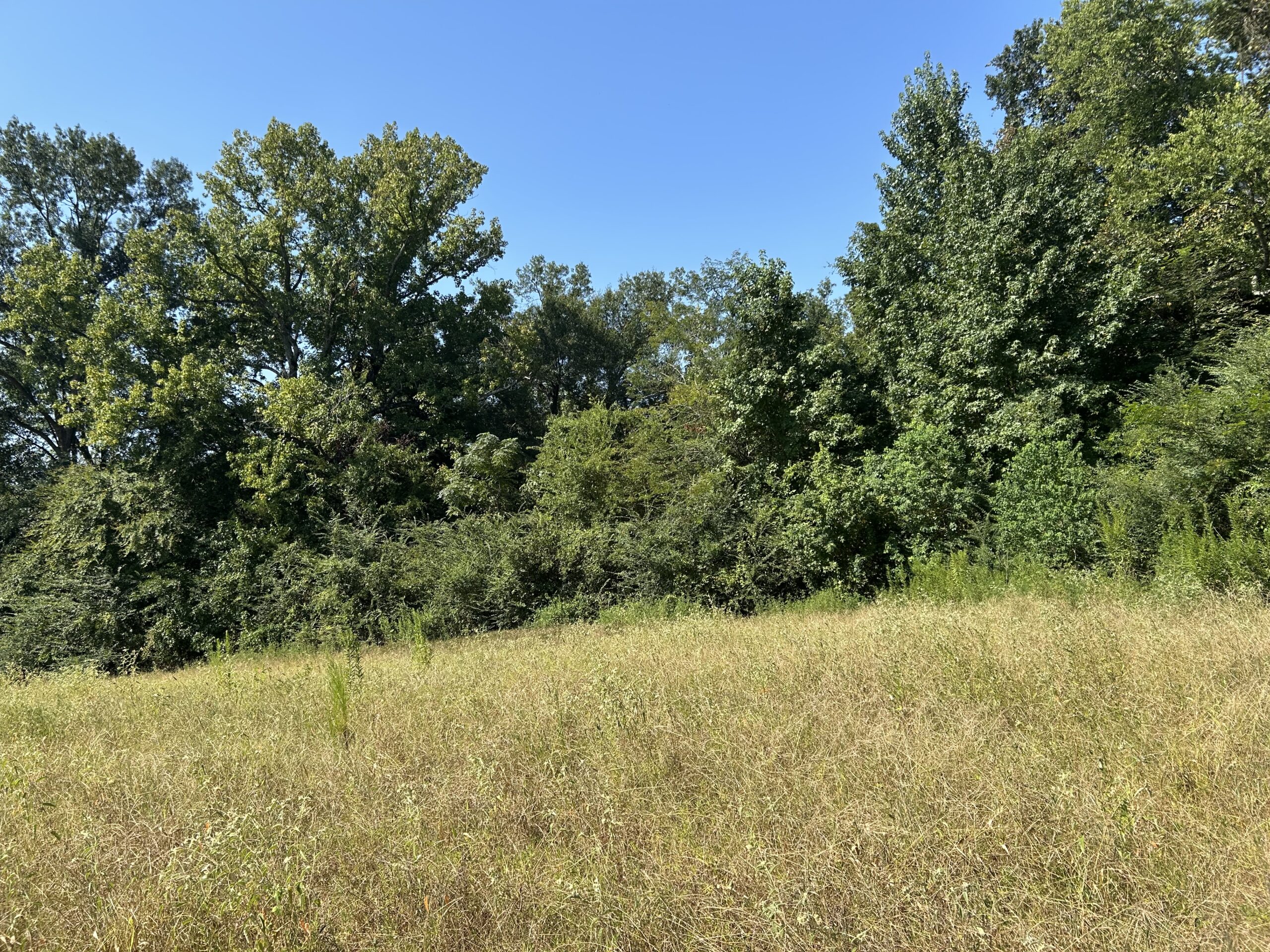 East Texas Hunting/Recreational/Timber Tract For Sale