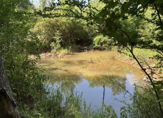 East Texas Hunting/Recreational/Timber Tract For Sale