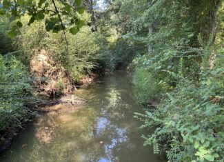 East Texas Hunting/Recreational/Timber Tract For Sale