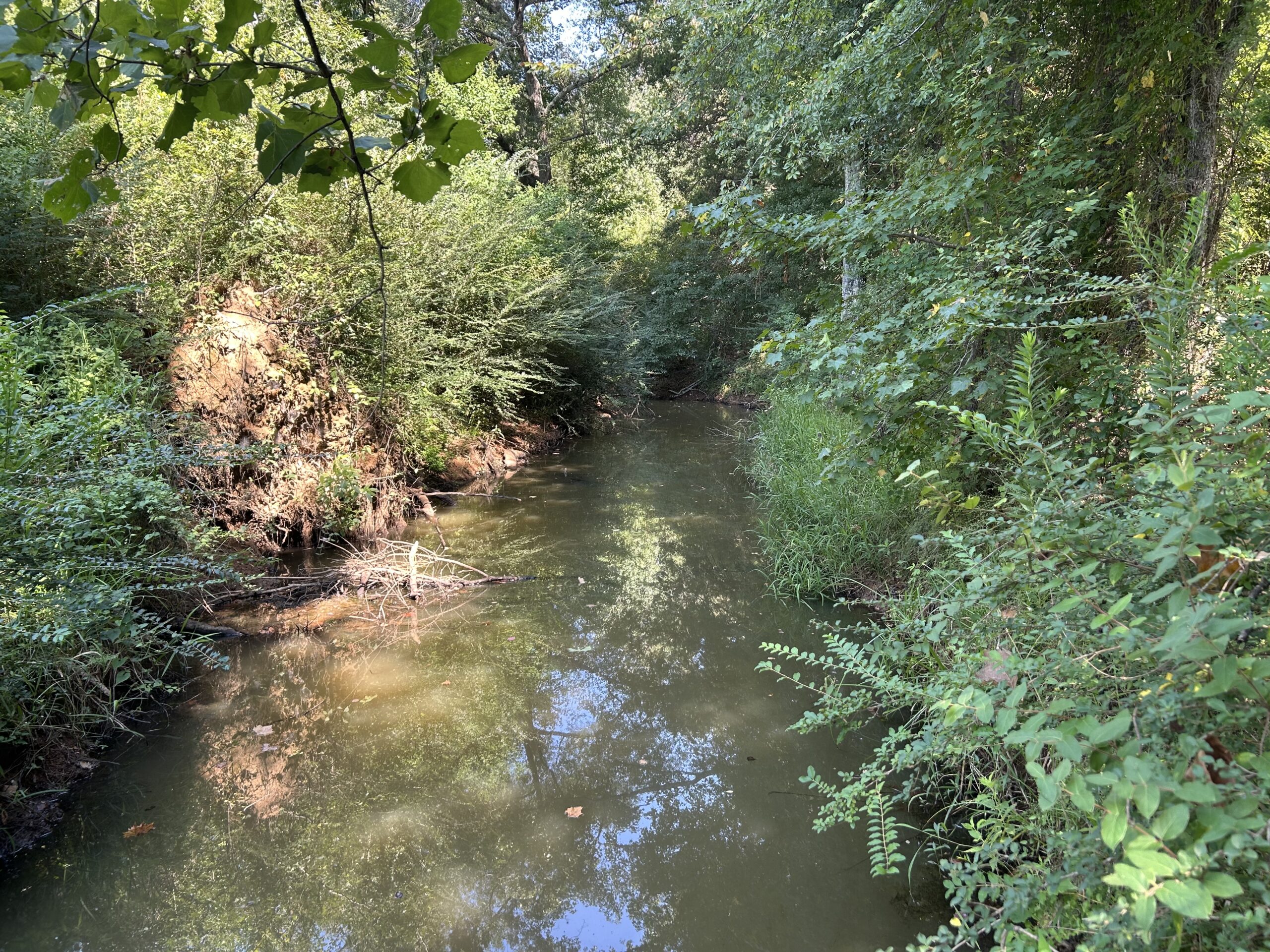 East Texas Hunting/Recreational/Timber Tract For Sale