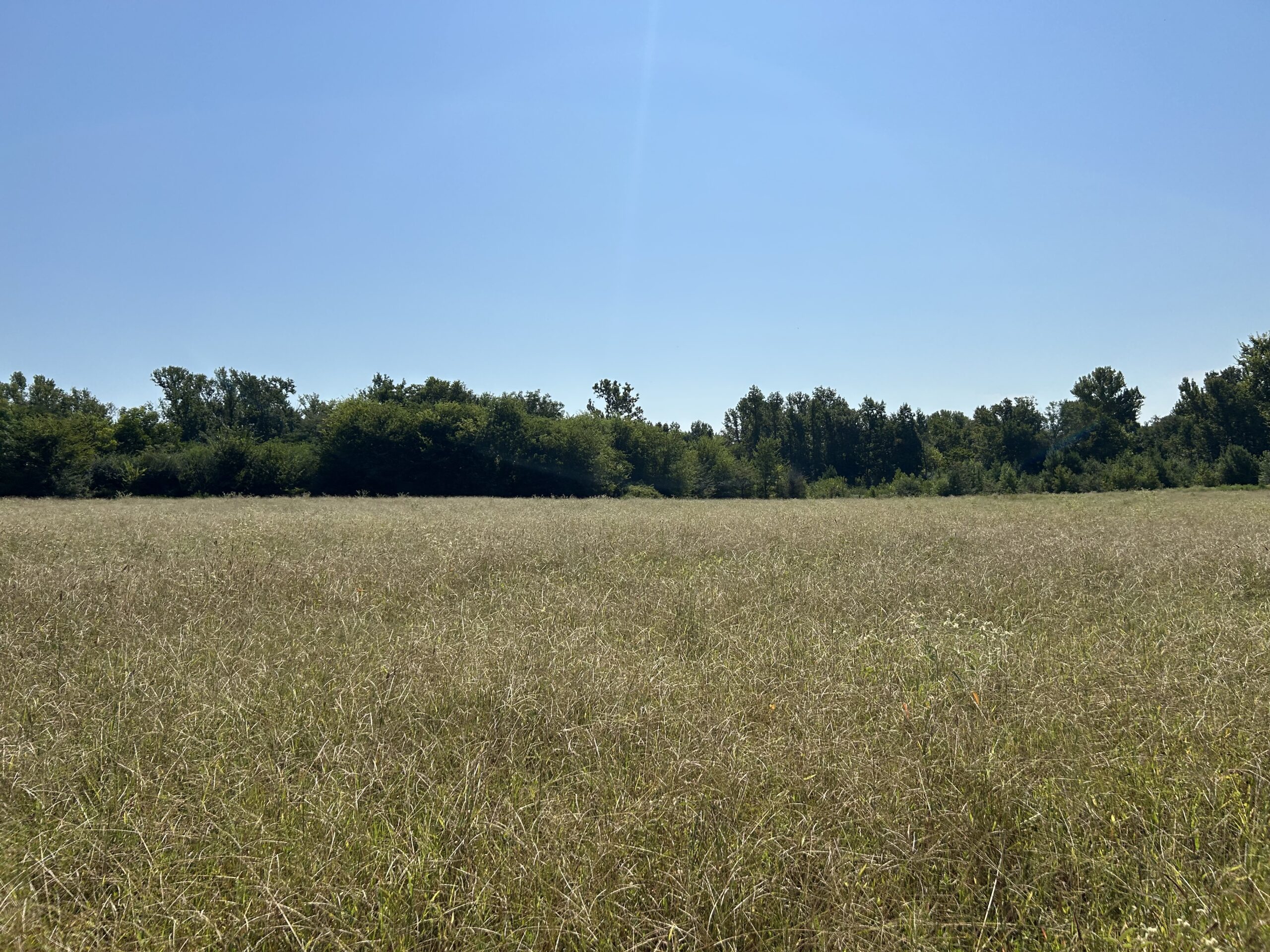 East Texas Hunting/Recreational/Timber Tract For Sale