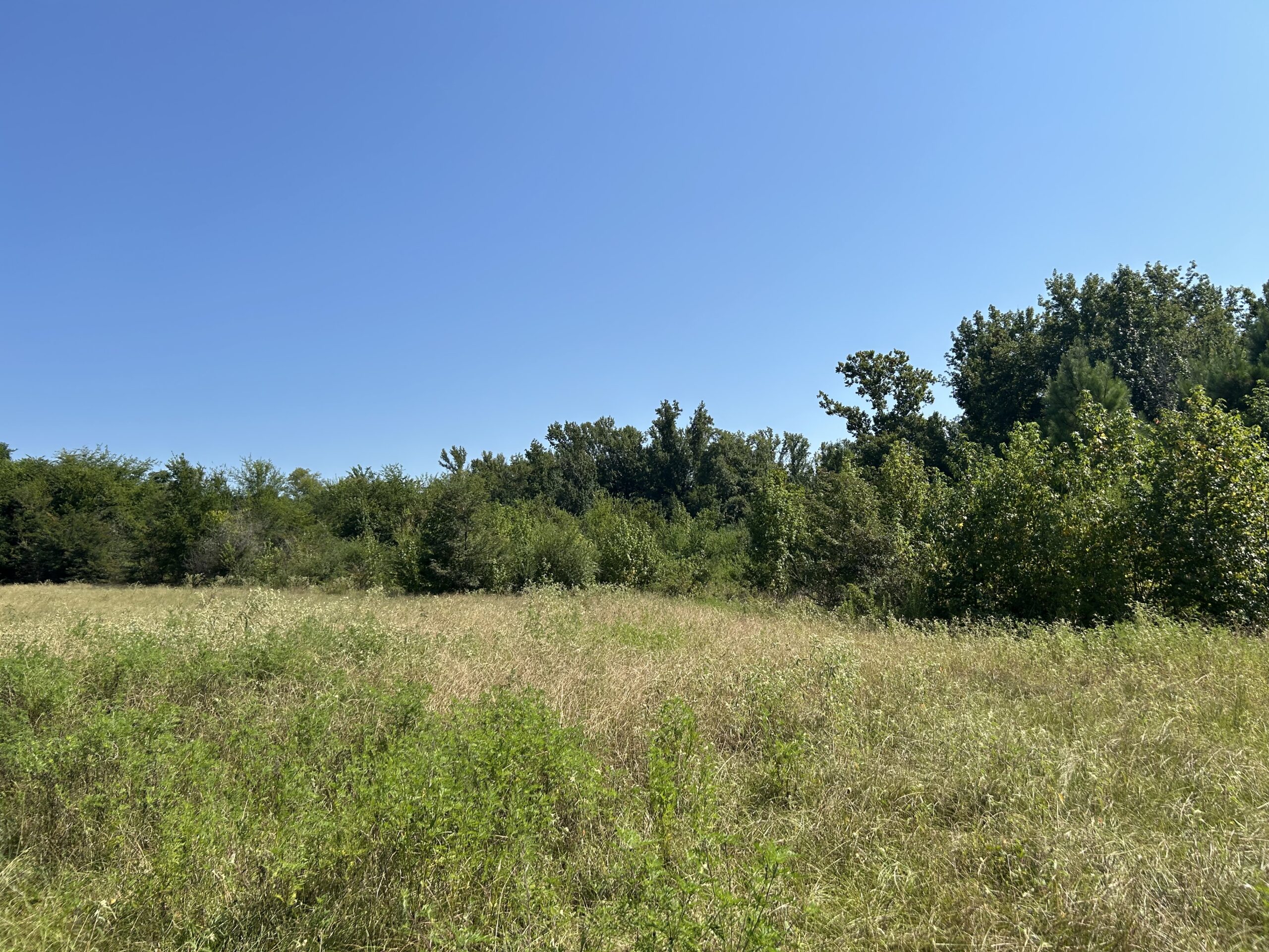 East Texas Hunting/Recreational/Timber Tract For Sale