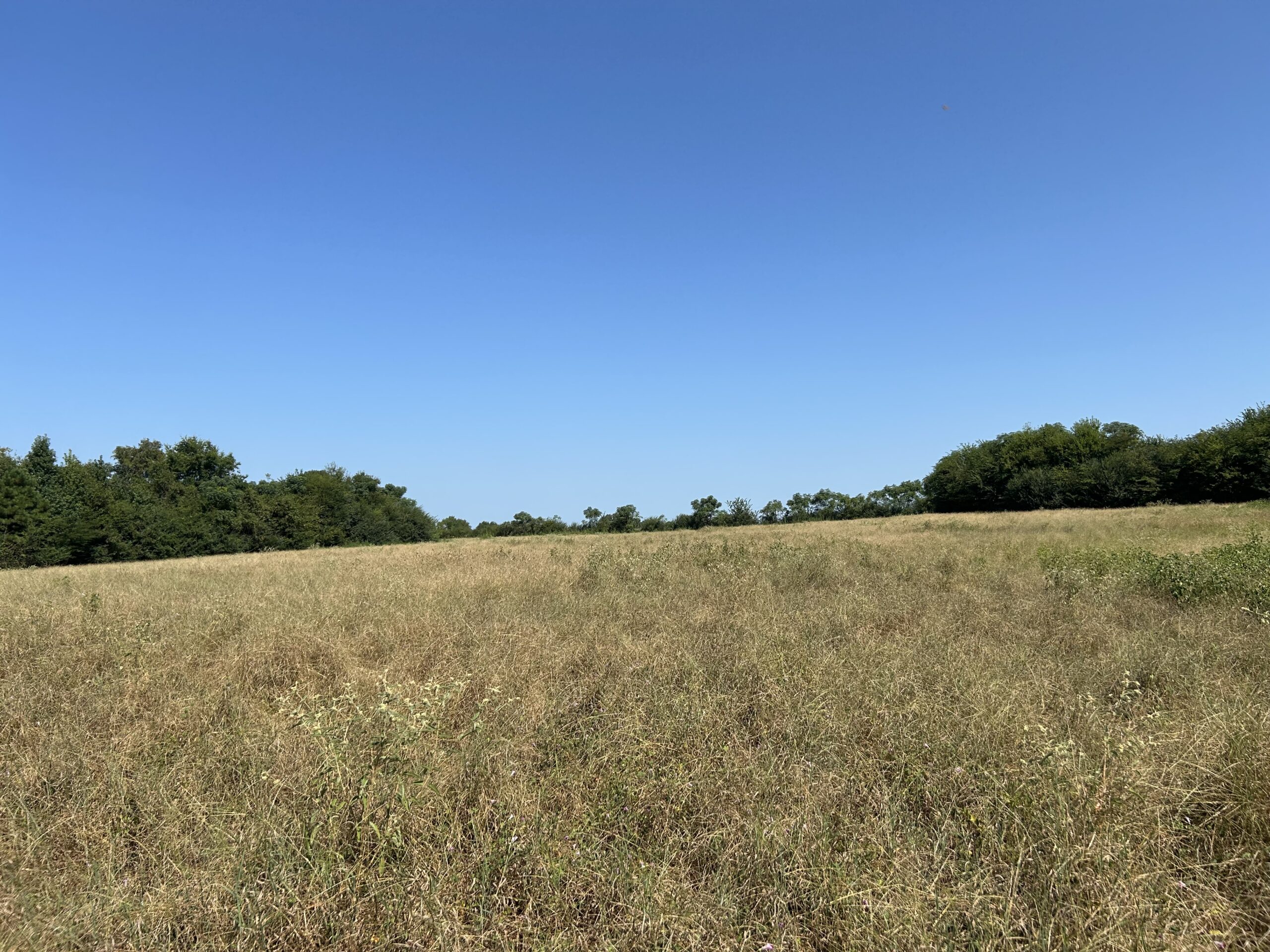 East Texas Hunting/Recreational/Timber Tract For Sale