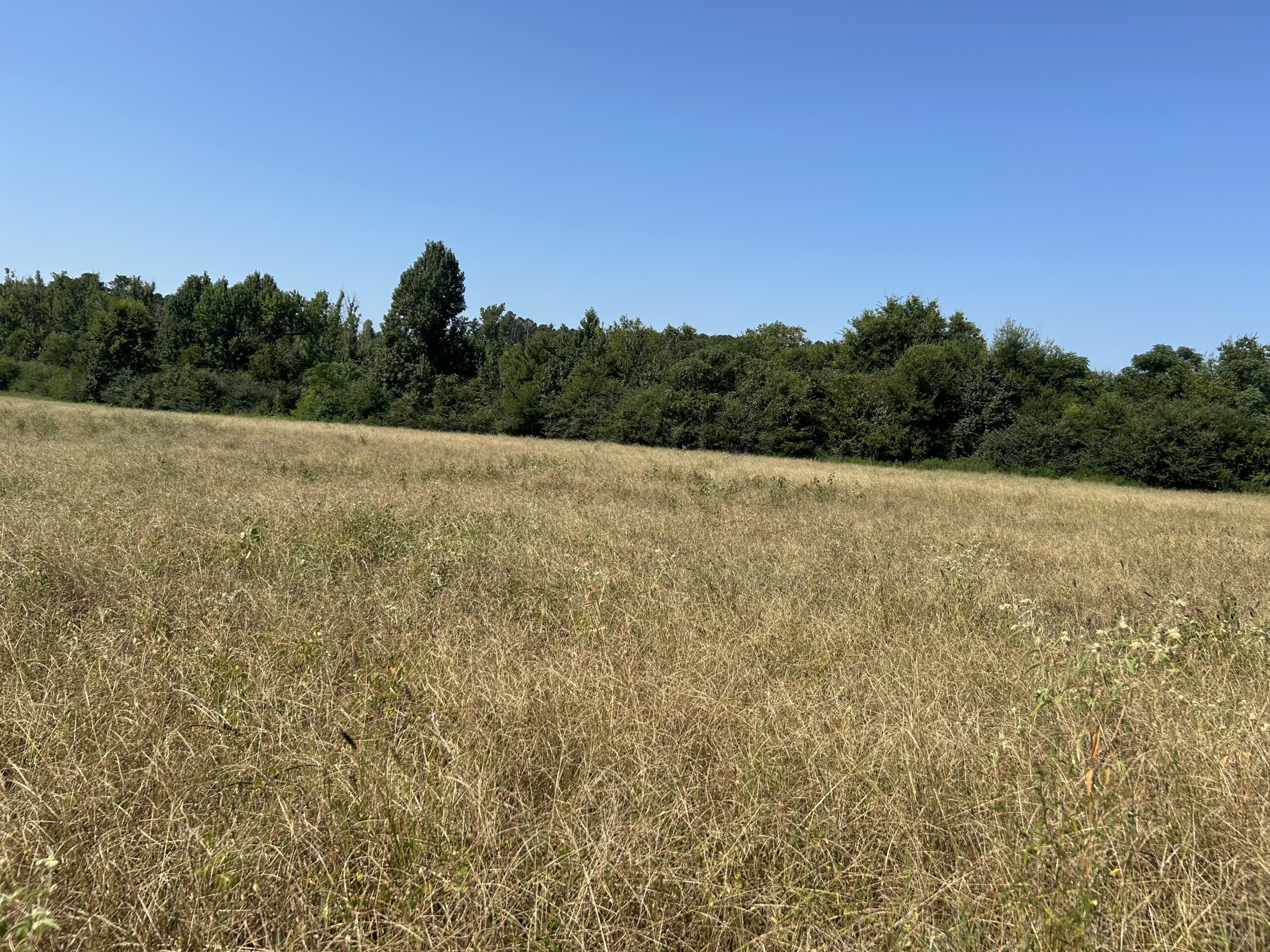 East Texas Hunting/Recreational/Timber Tract For Sale