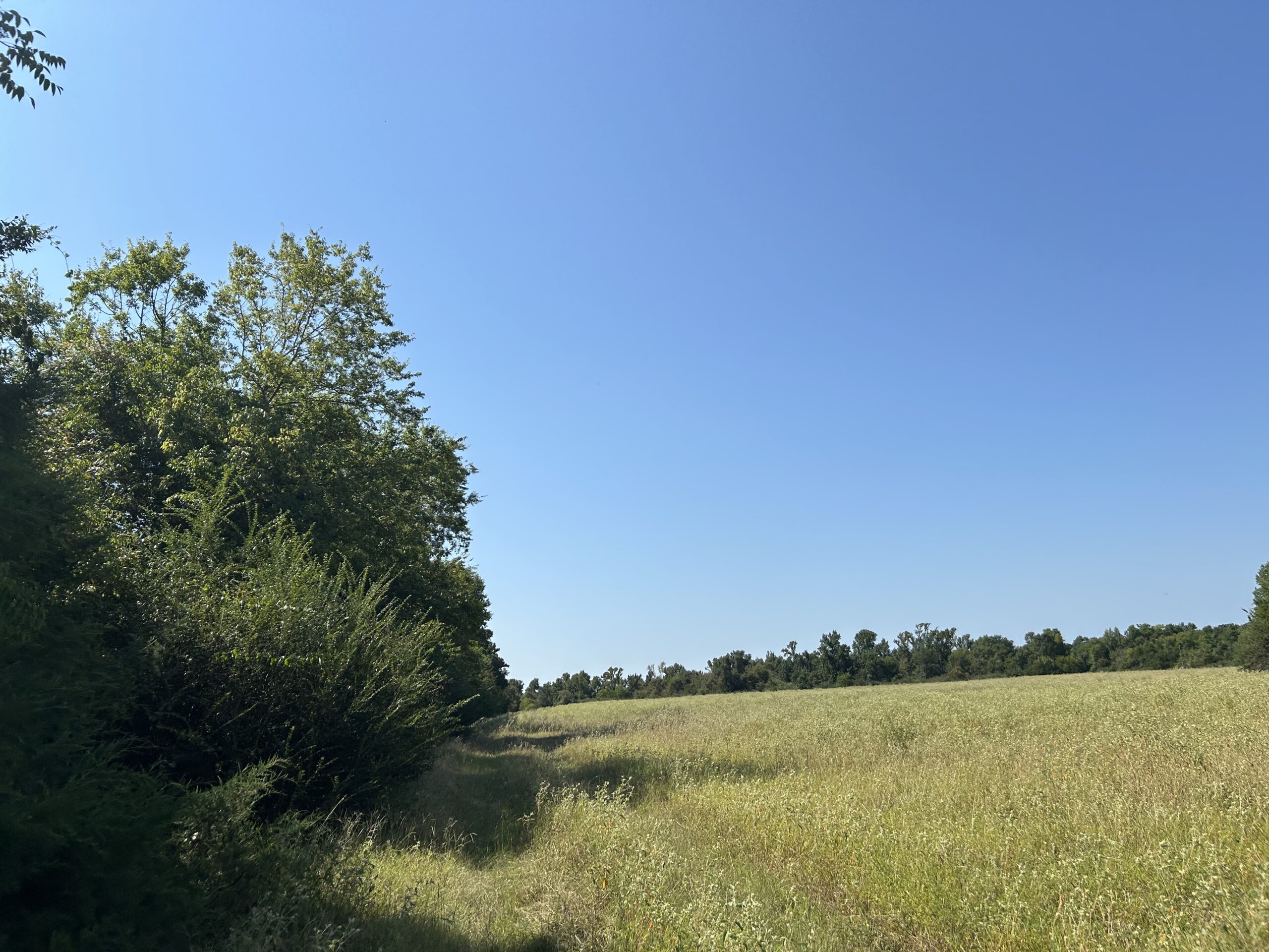 East Texas Hunting/Recreational/Timber Tract For Sale