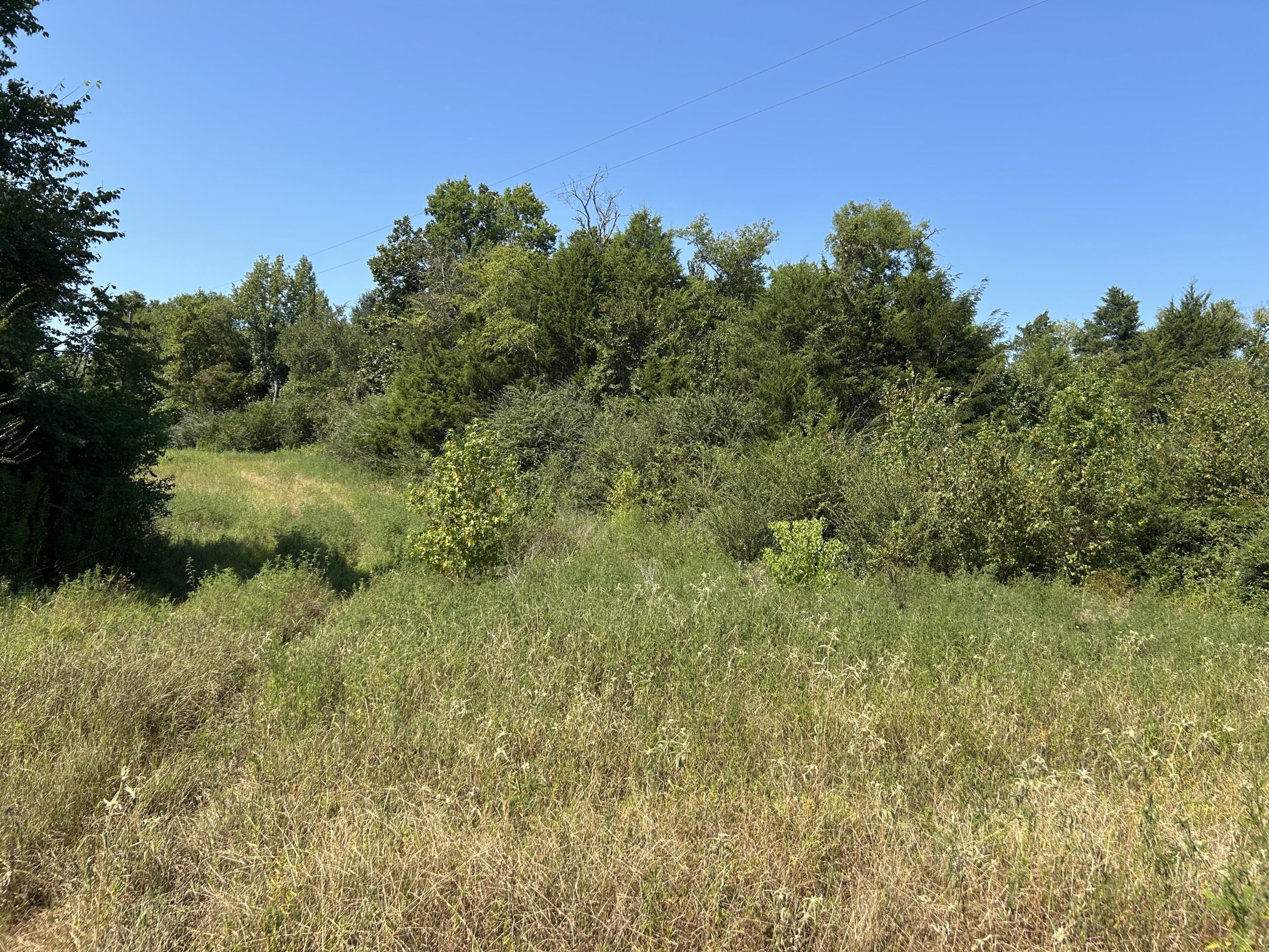 East Texas Hunting/Recreational/Timber Tract For Sale