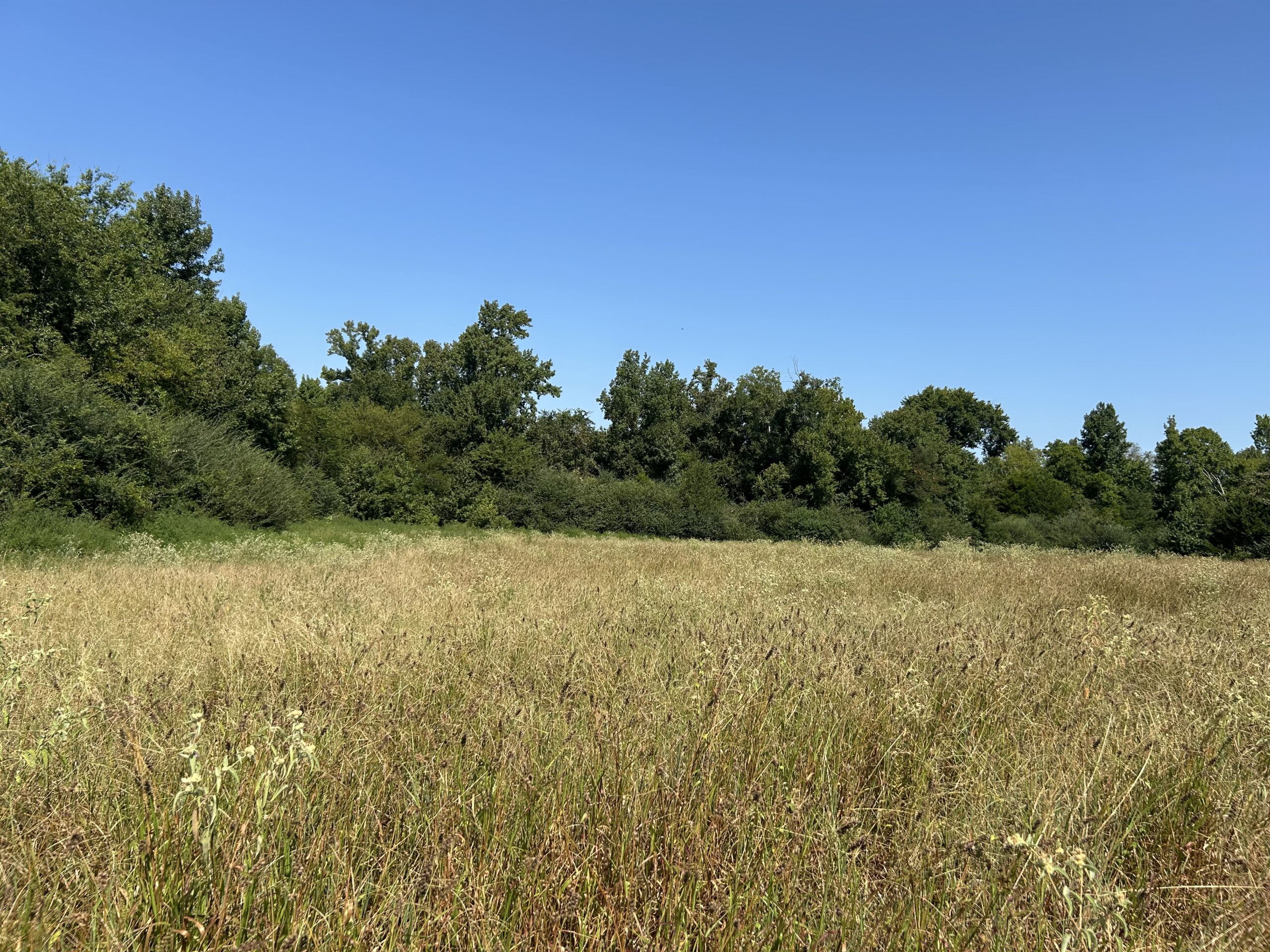 East Texas Hunting/Recreational/Timber Tract For Sale