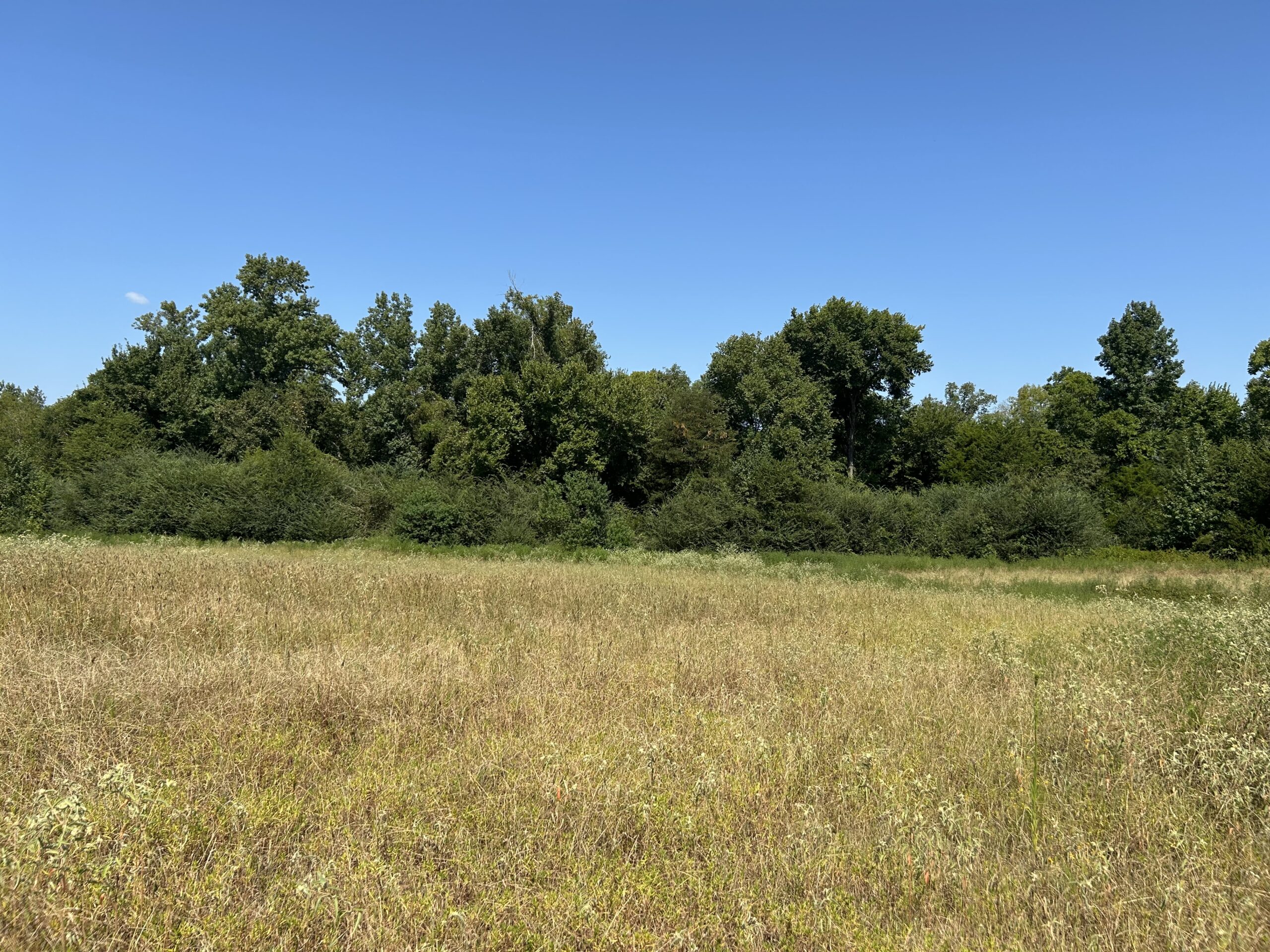 East Texas Hunting/Recreational/Timber Tract For Sale