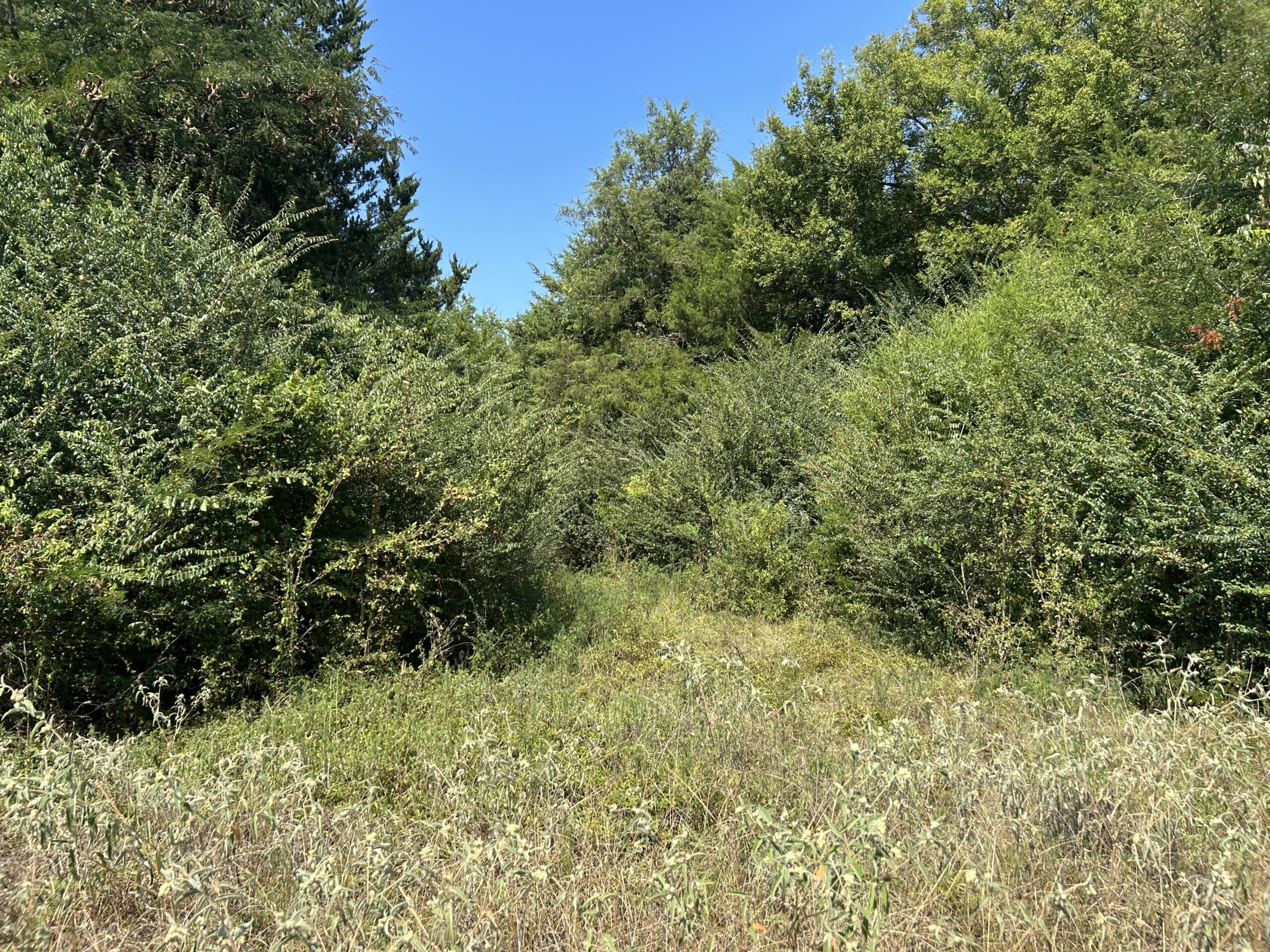East Texas Hunting/Recreational/Timber Tract For Sale