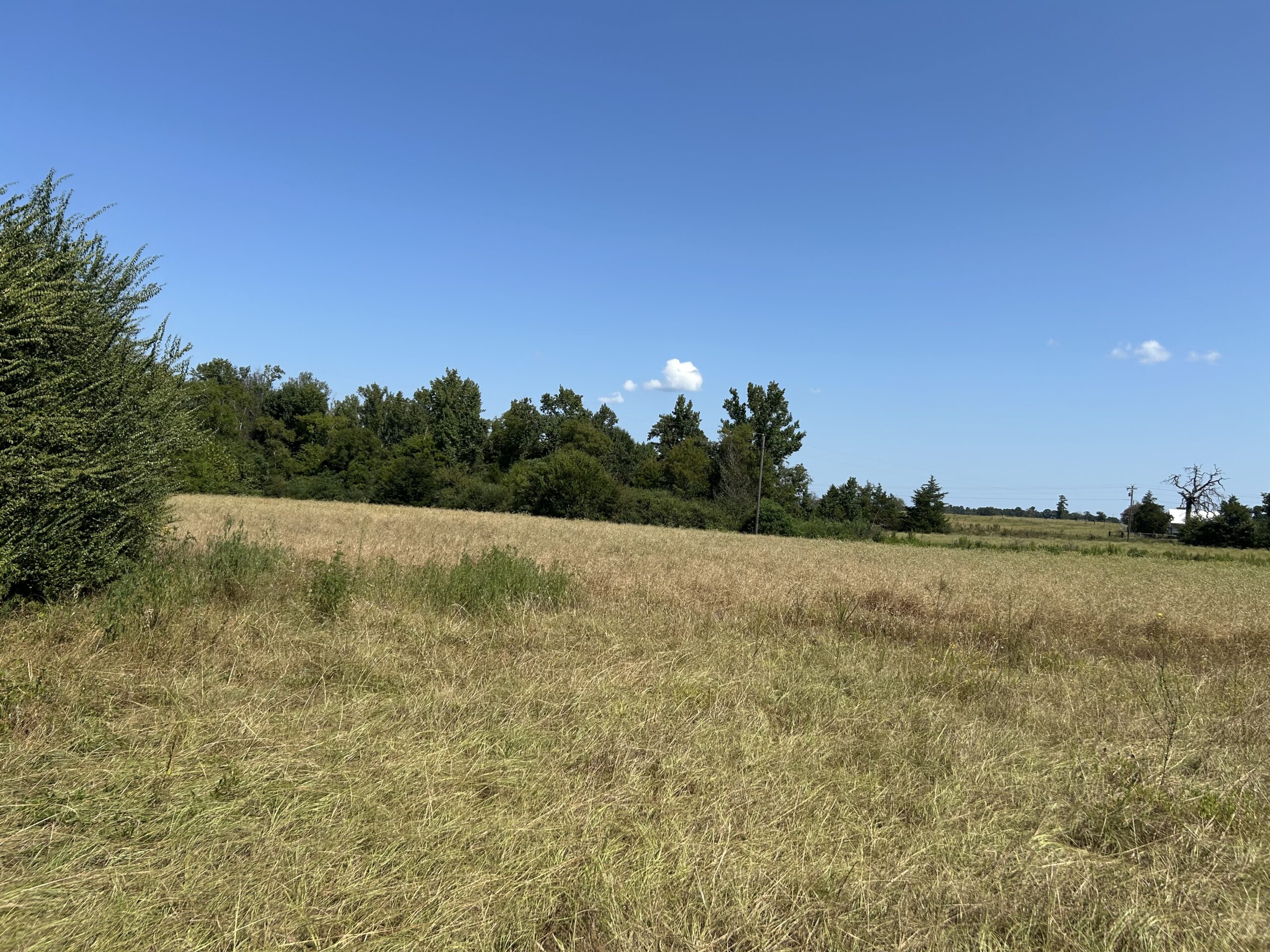East Texas Hunting/Recreational/Timber Tract For Sale