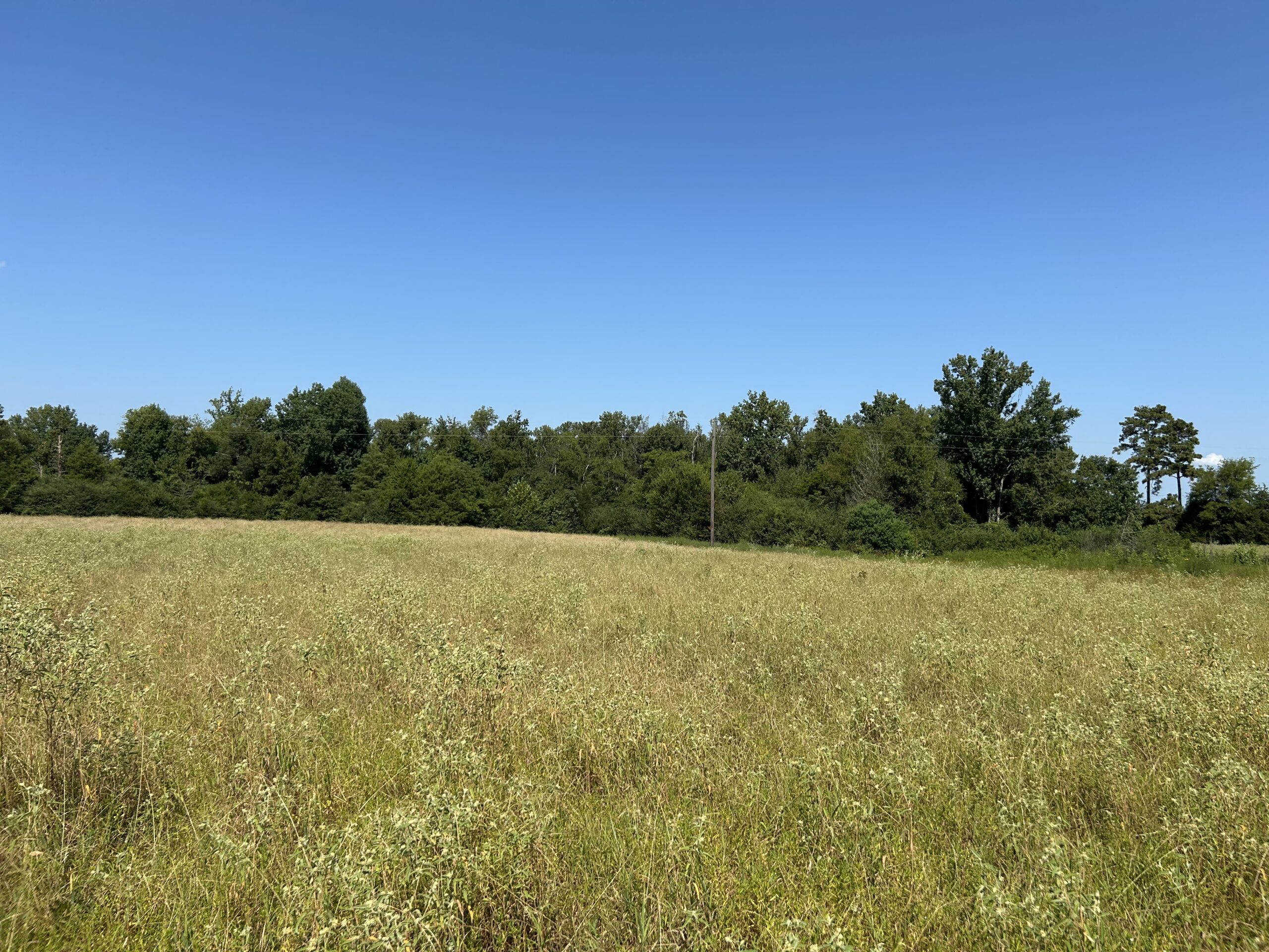 East Texas Hunting/Recreational/Timber Tract For Sale