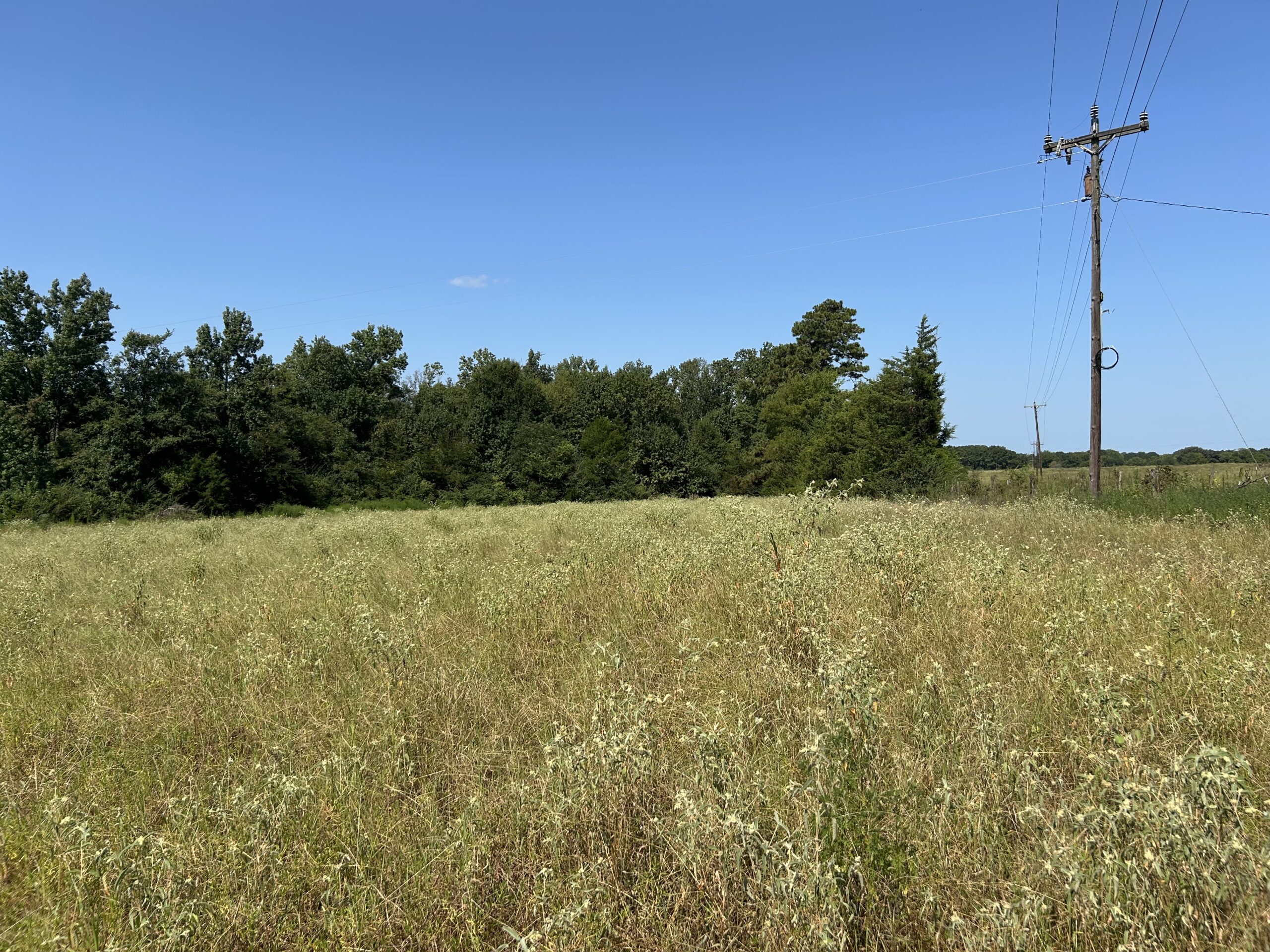 East Texas Hunting/Recreational/Timber Tract For Sale