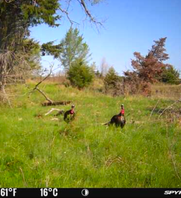 NEBRASKA MERIDIAN CANYON HUNTING & RANCH LAND