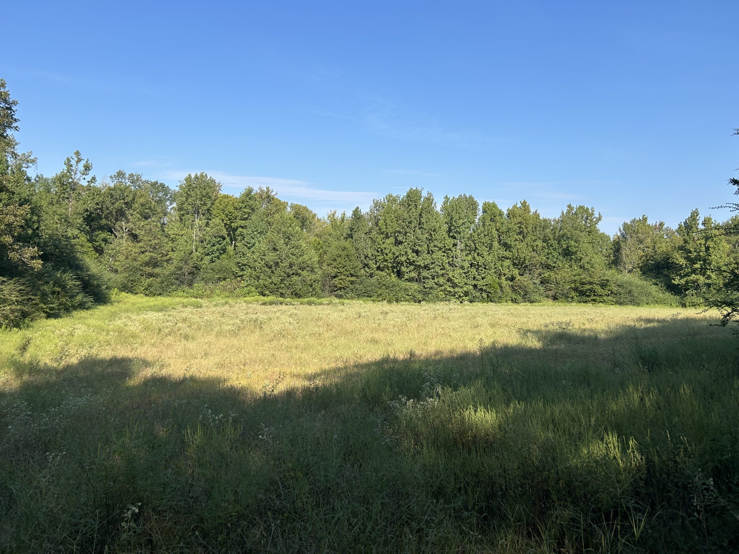 East Texas Hunting/Recreational/Timber Tract For Sale