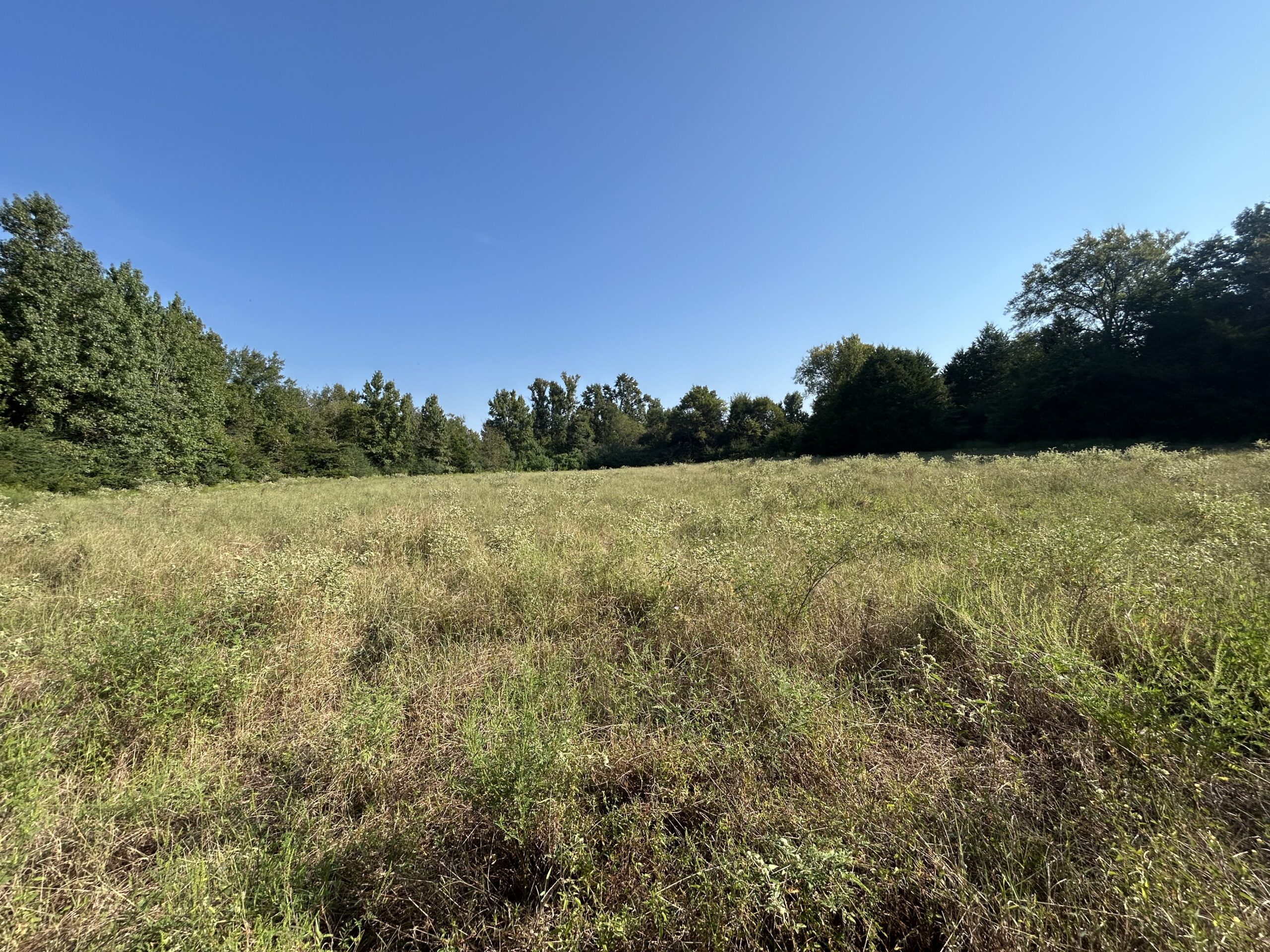 East Texas Hunting/Recreational/Timber Tract For Sale