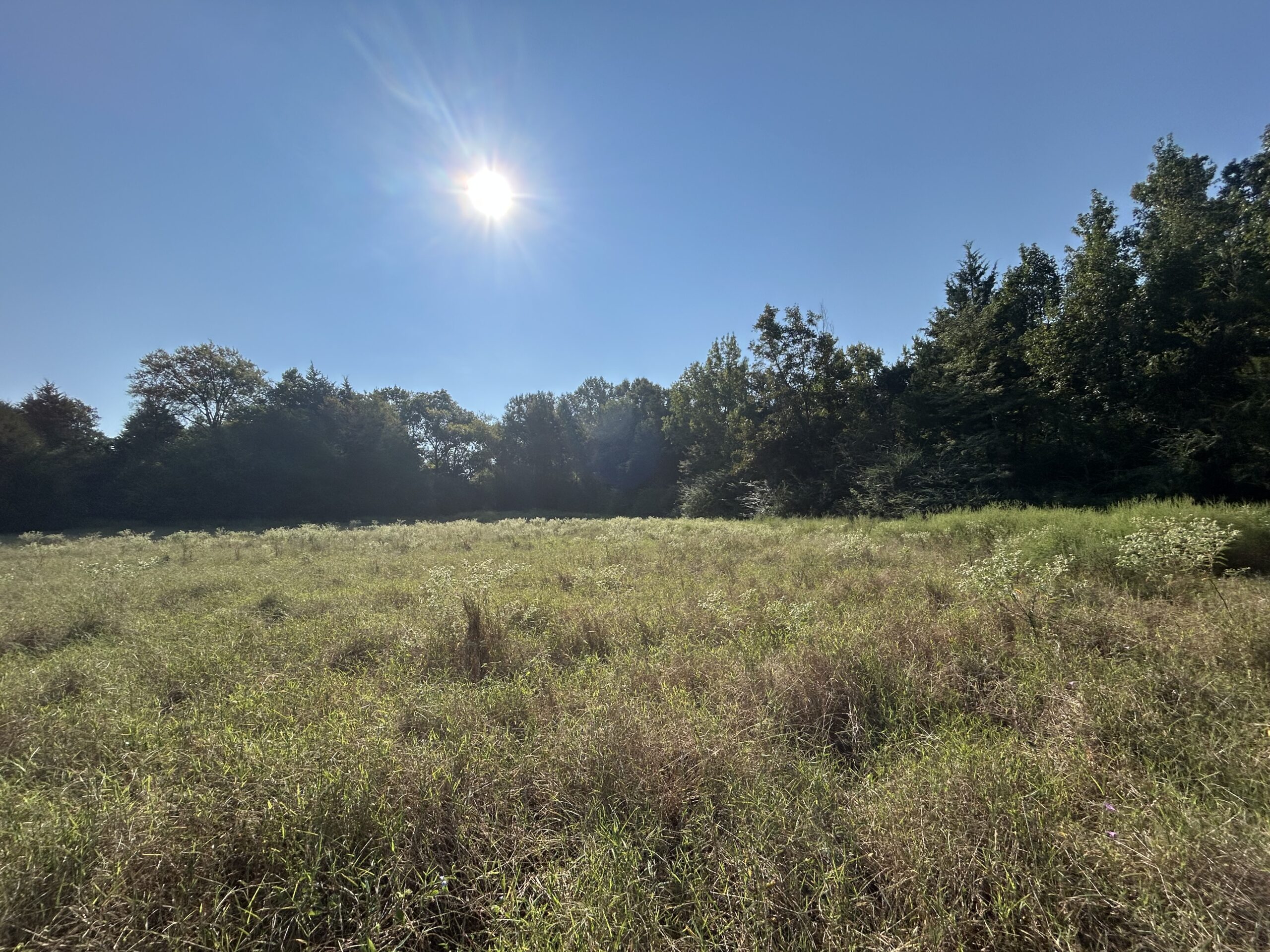 East Texas Hunting/Recreational/Timber Tract For Sale