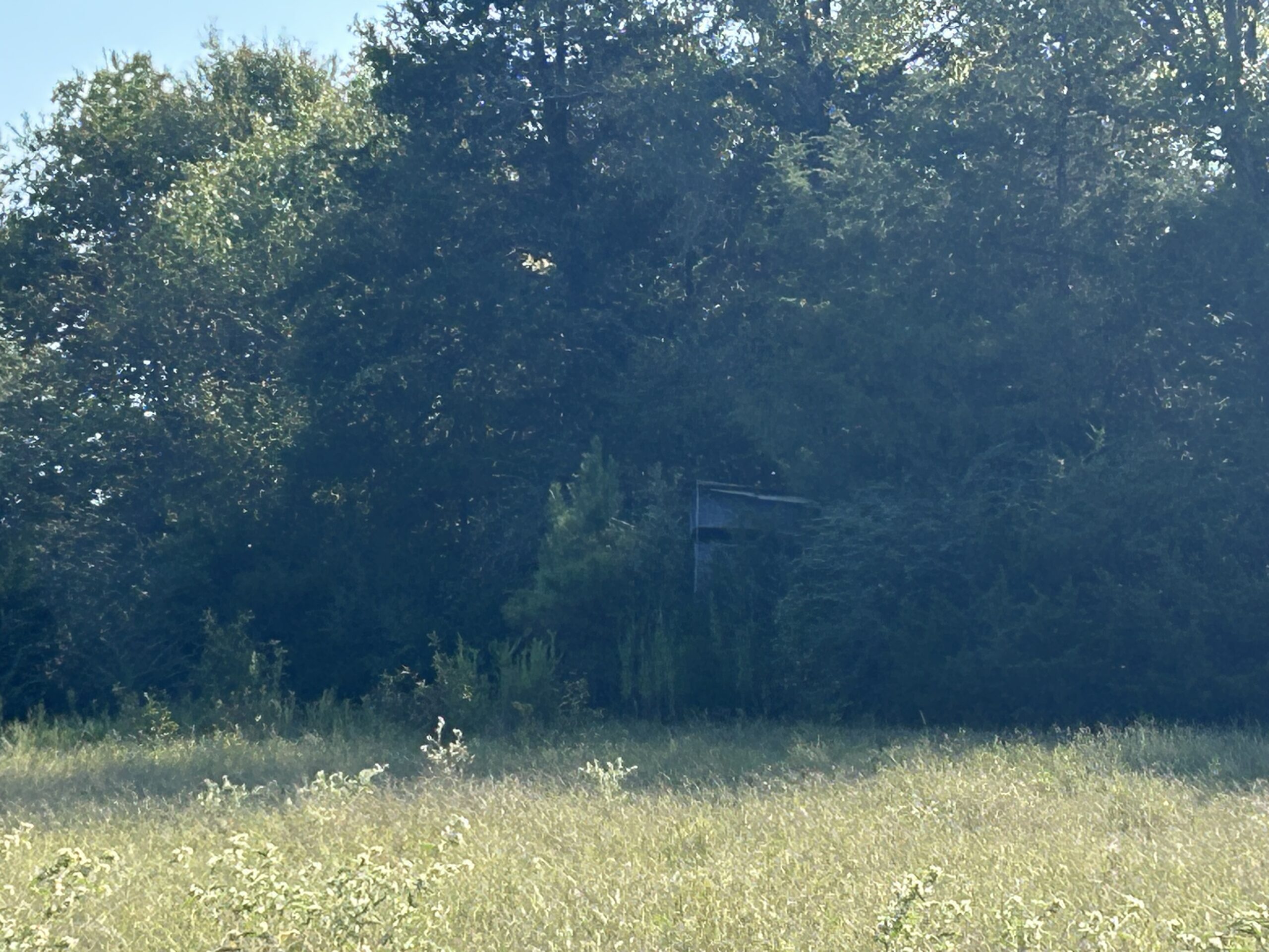 East Texas Hunting/Recreational/Timber Tract For Sale