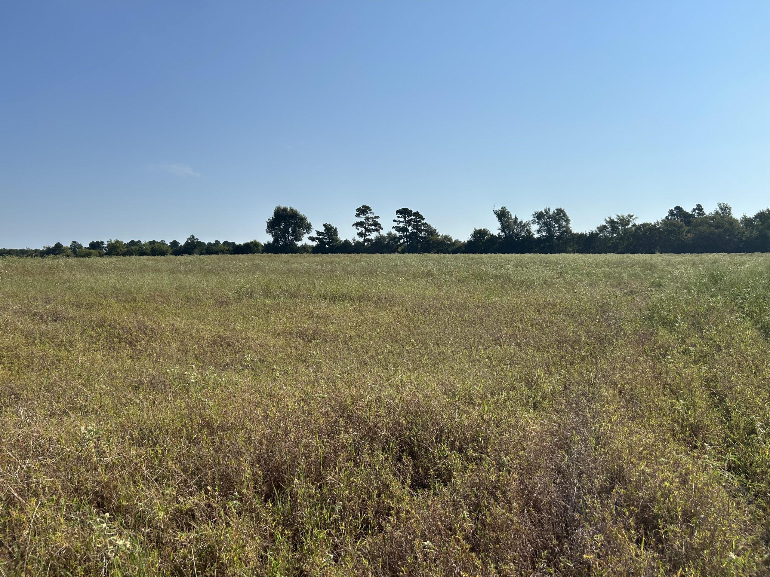 East Texas Hunting/Recreational/Timber Tract For Sale