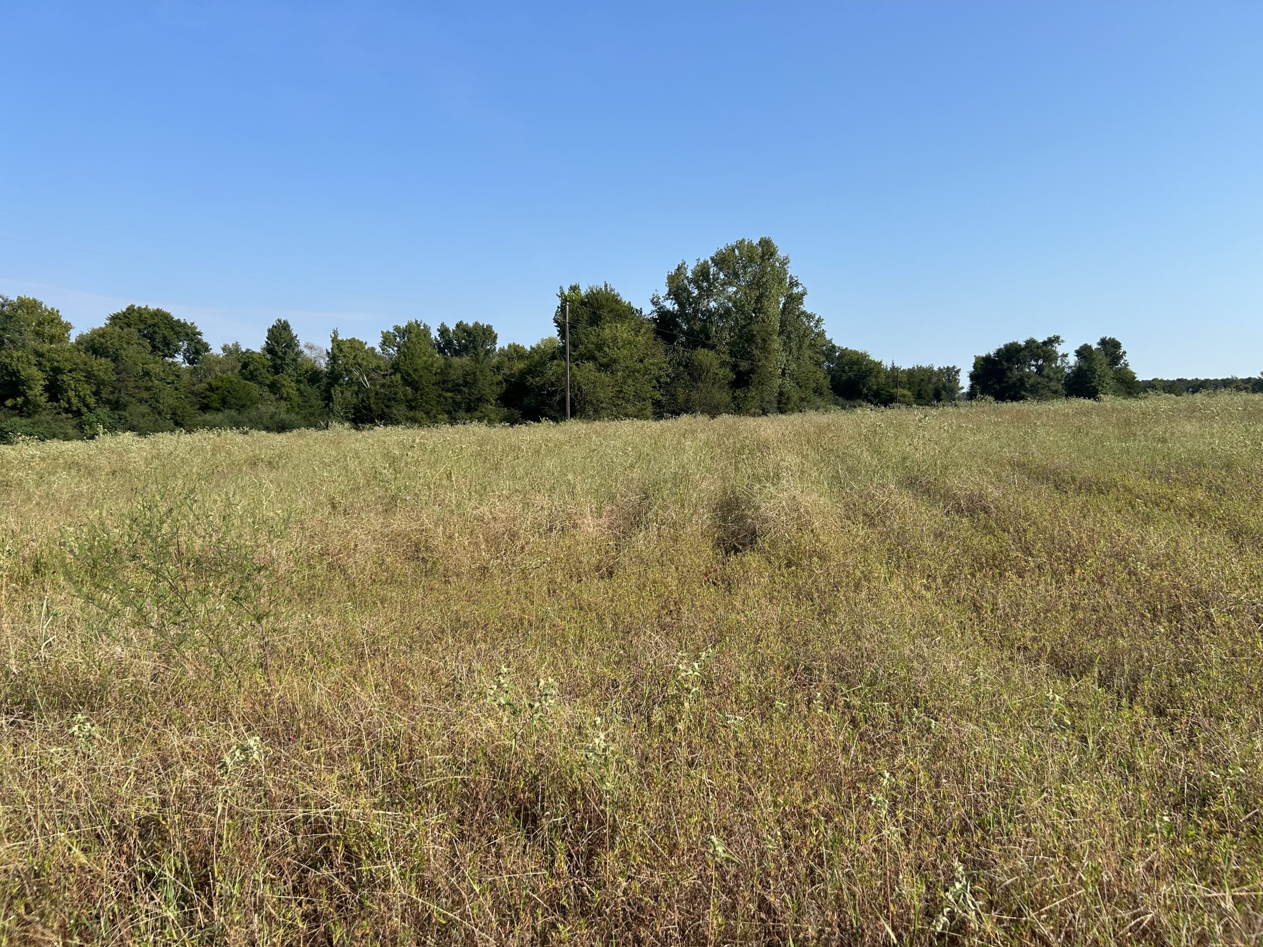 East Texas Hunting/Recreational/Timber Tract For Sale