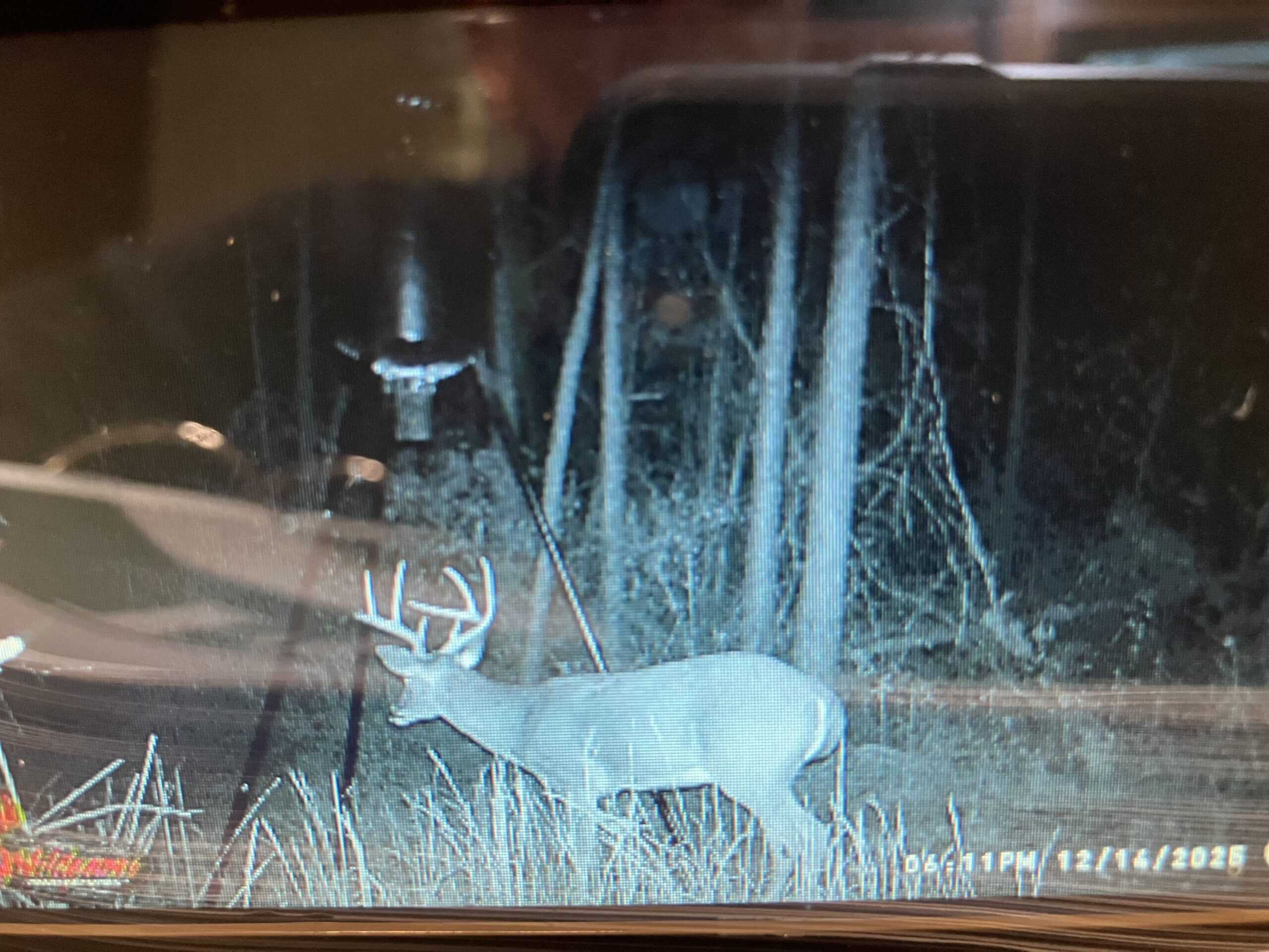 Hunting Land for Sale in Copiah County MS – Dixie Garden 46