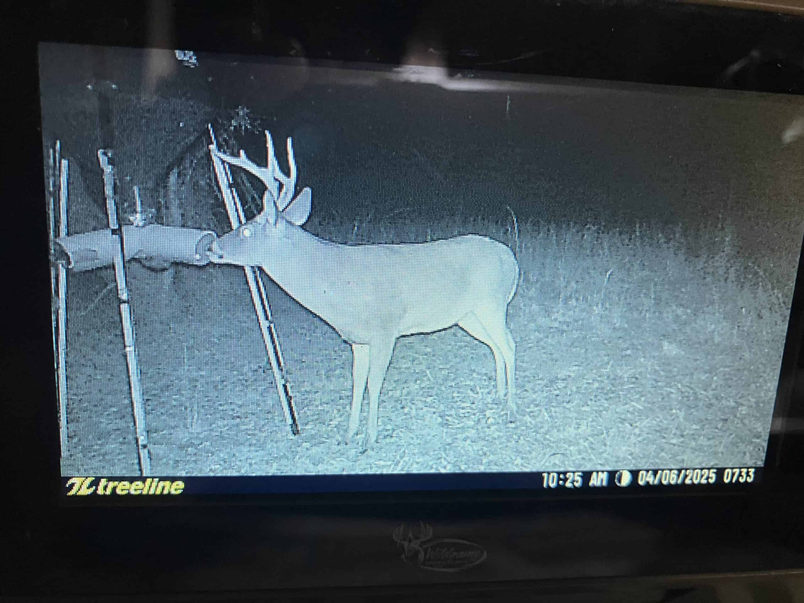 Hunting Land for Sale in Copiah County MS – Dixie Garden 46