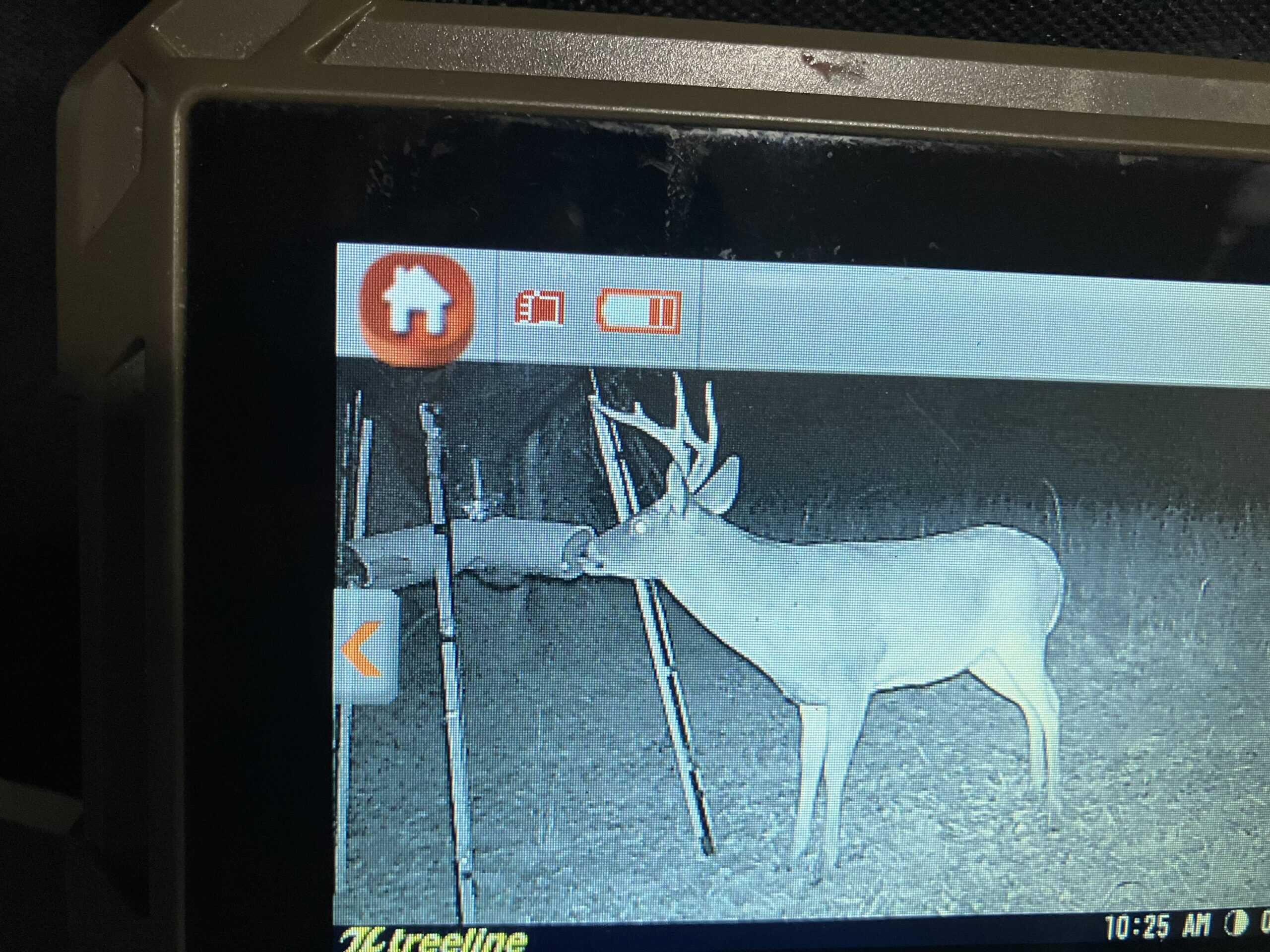 Hunting Land for Sale in Copiah County MS – Dixie Garden 46