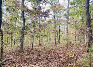 PRIME HUNTING LAND FOR SALE IN NORTH CENTRAL ARKANSAS