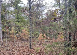 PRIME HUNTING LAND FOR SALE IN NORTH CENTRAL ARKANSAS