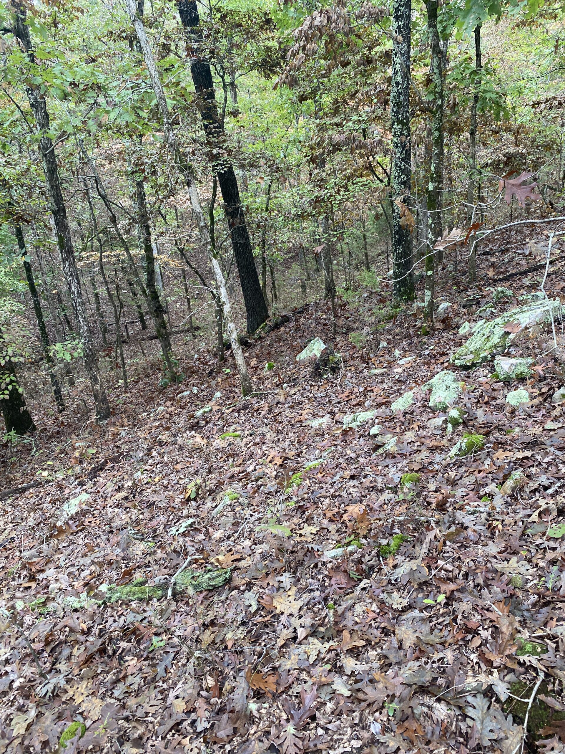 PRIME HUNTING LAND FOR SALE IN NORTH CENTRAL ARKANSAS