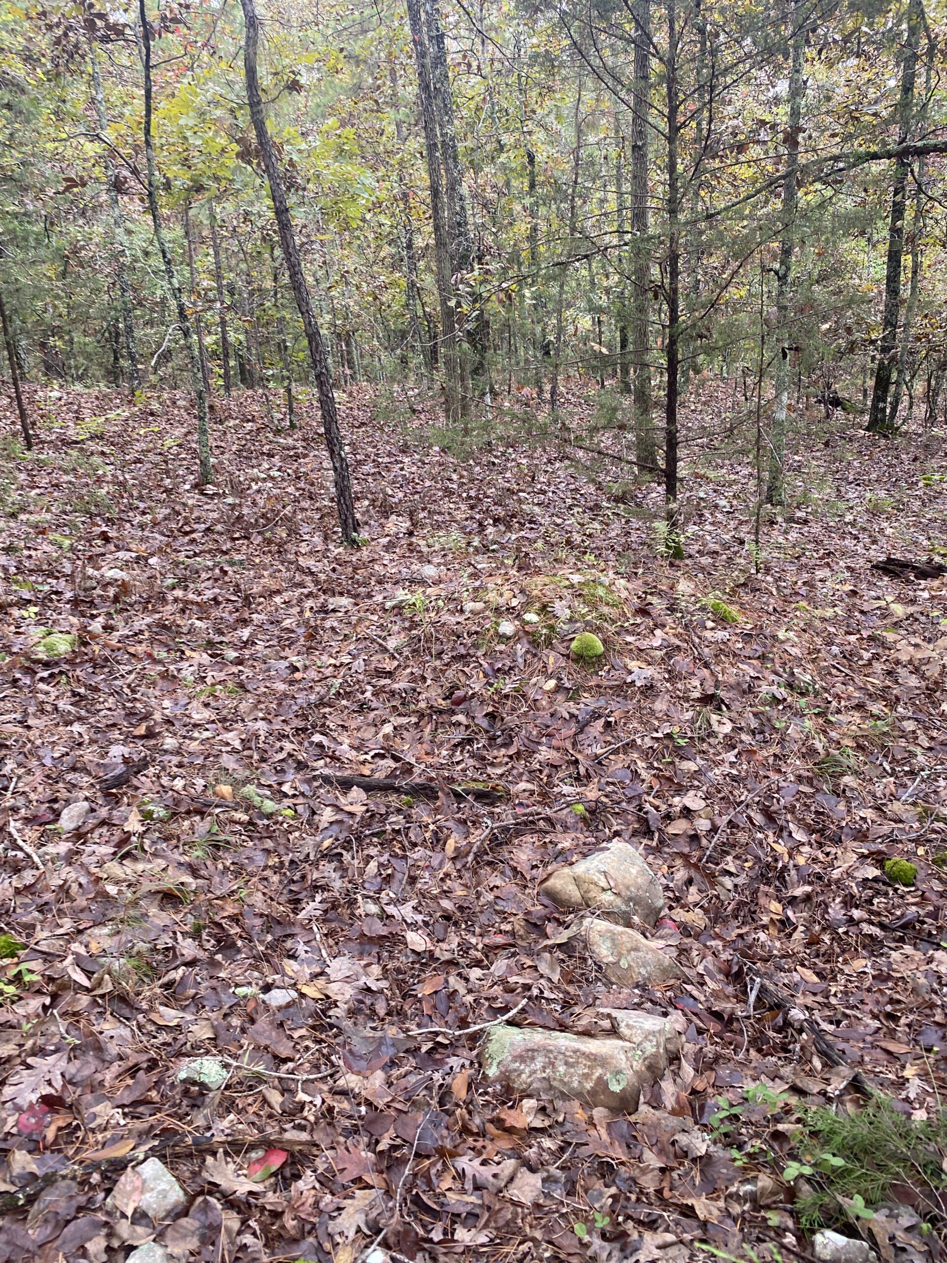 PRIME HUNTING LAND FOR SALE IN NORTH CENTRAL ARKANSAS