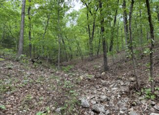 HUNTING AND RECREATIONAL LAND FOR SALE IN NORTH CENTRAL ARKANSAS