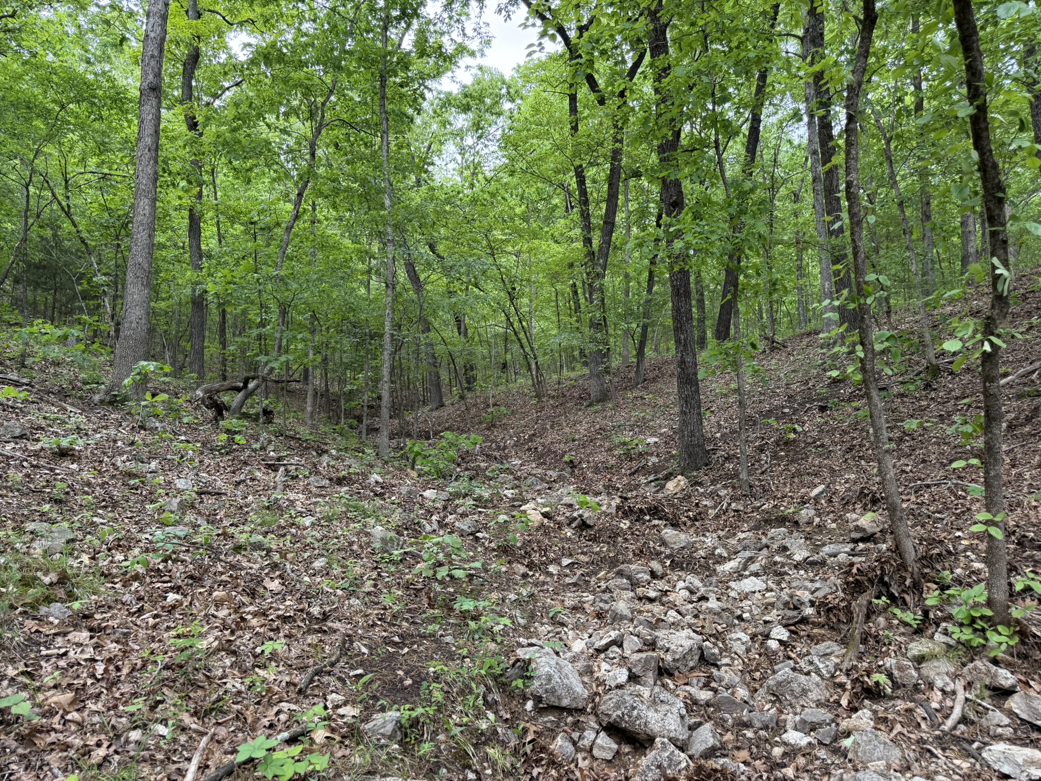 HUNTING AND RECREATIONAL LAND FOR SALE IN NORTH CENTRAL ARKANSAS